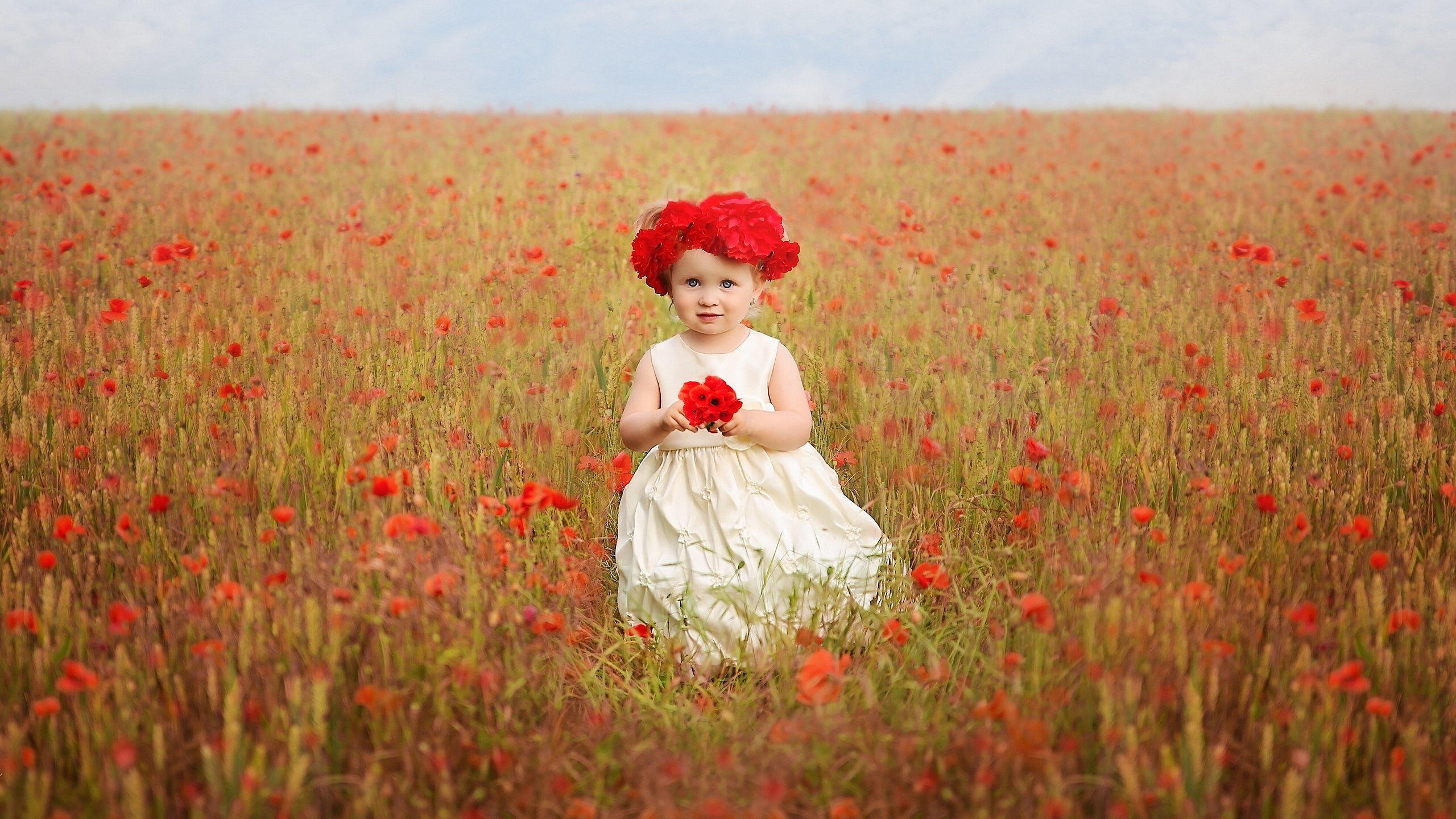 Beautiful Girl Child Is Standing On Field With Red Flowers HD