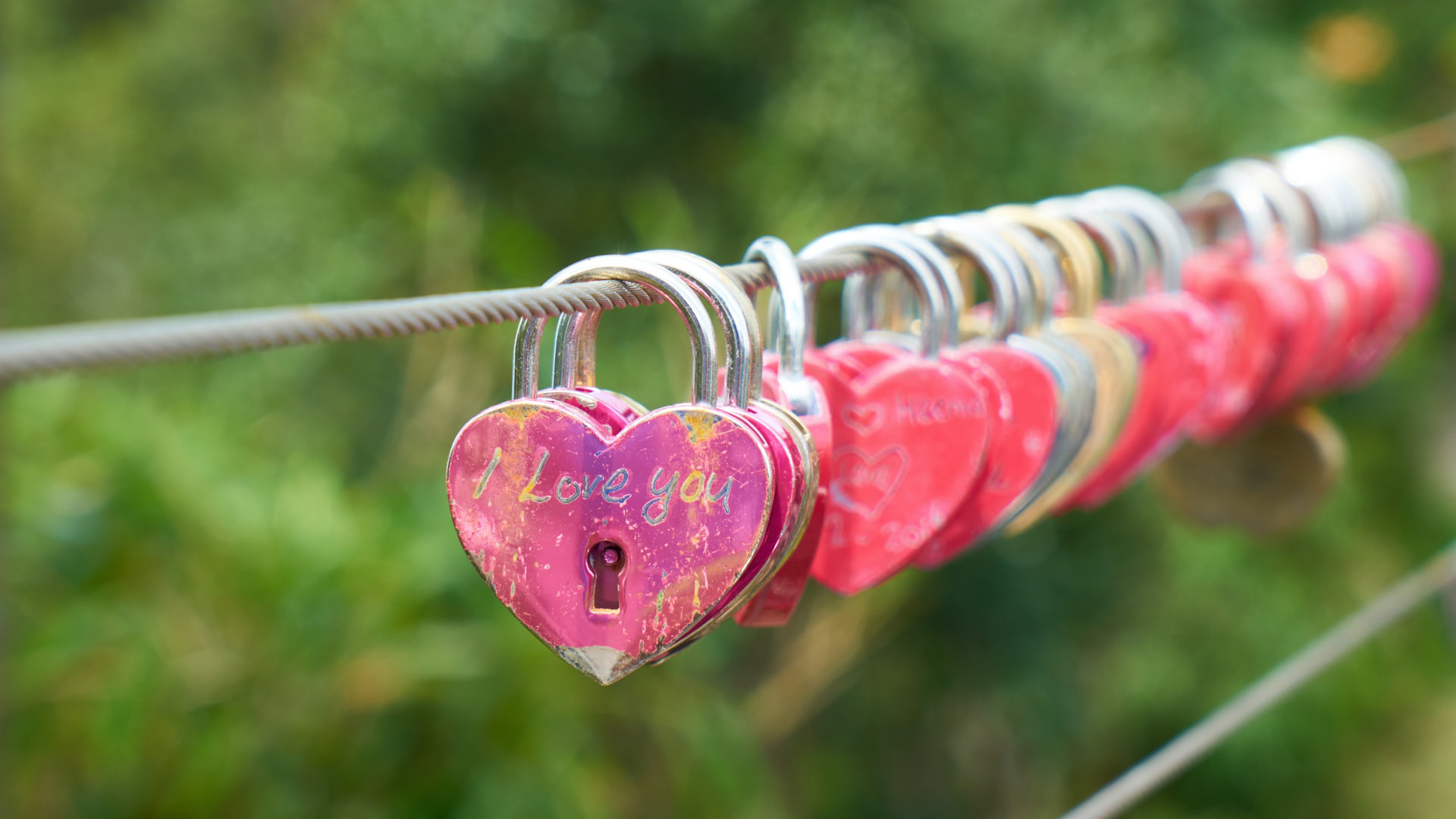 Colorful Heart Shape Locks In Rope With I You Word In Blur Green Wallpaper HD