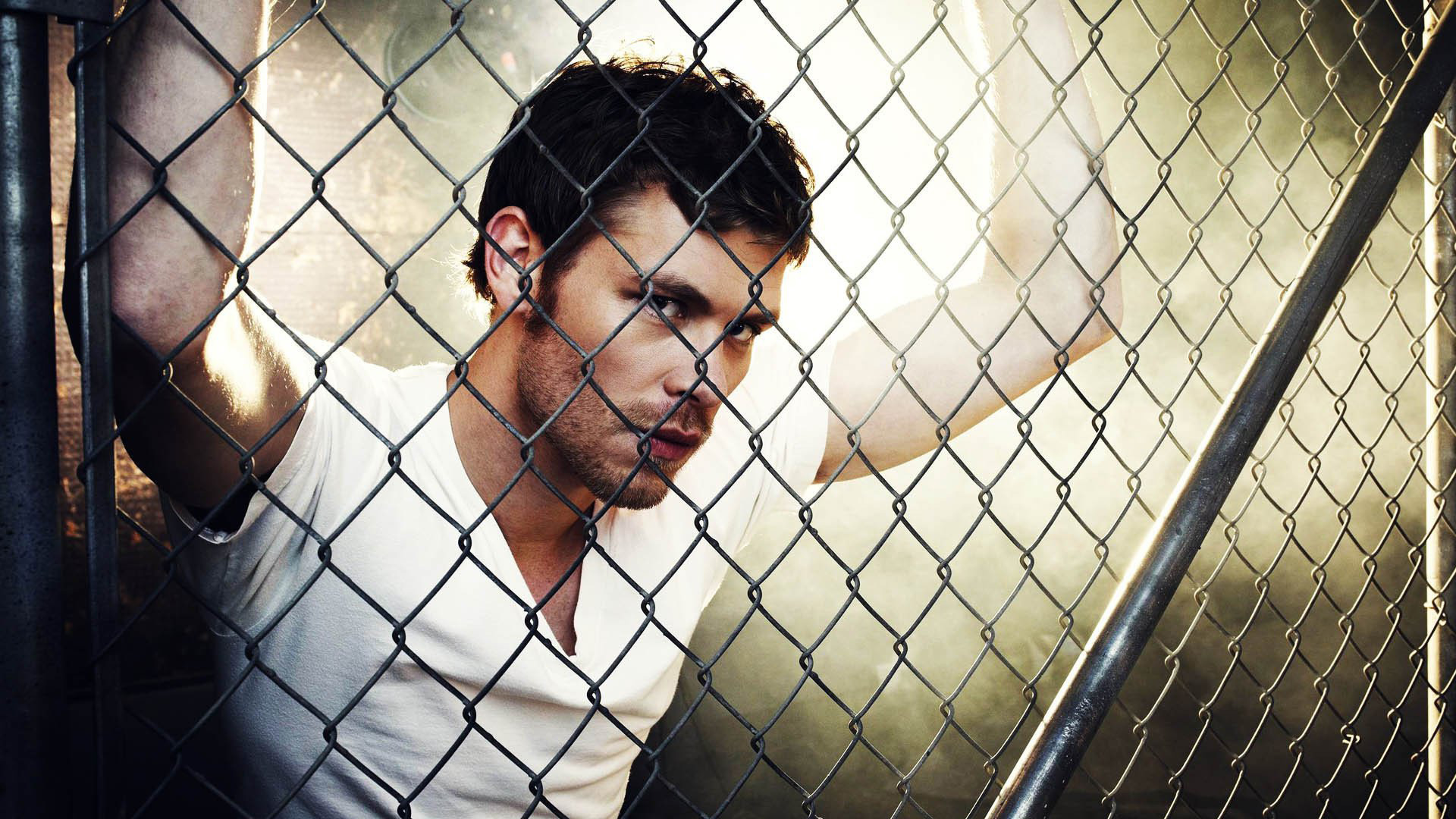 Damon Salvatore In White T-Shirt Near Chain Link Fence HD The Vampire Diaries