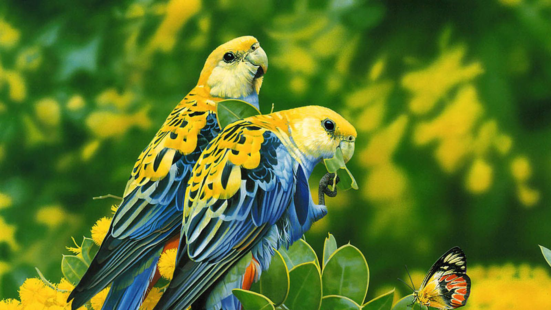 Blue Yellow Birds Are Sitting On Yellow Flowers Green Leaves Branches HD Birds