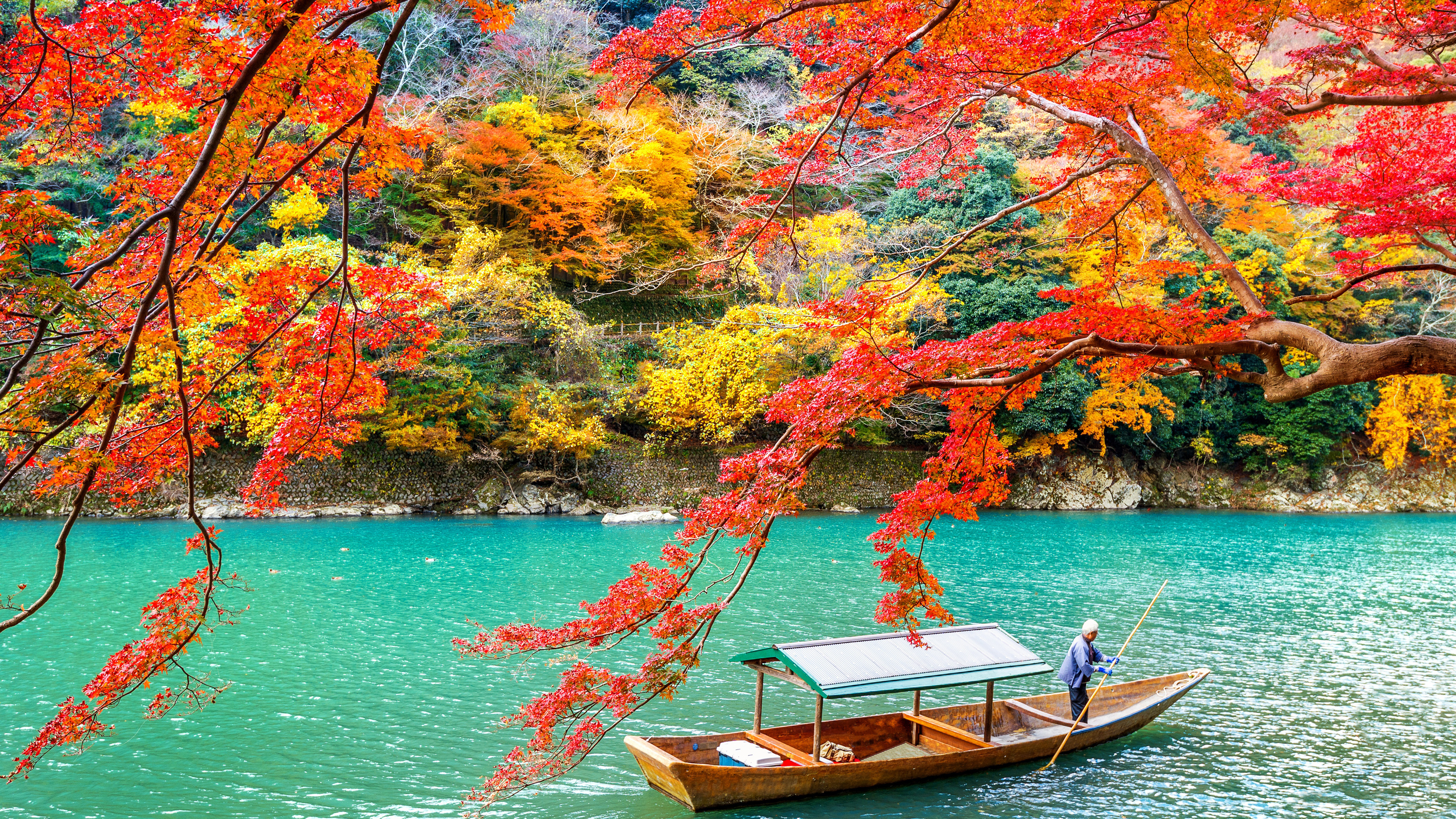 Boat With Man On Body Of Water With Landscape Of Colorful Trees During Daytime K HD Nature