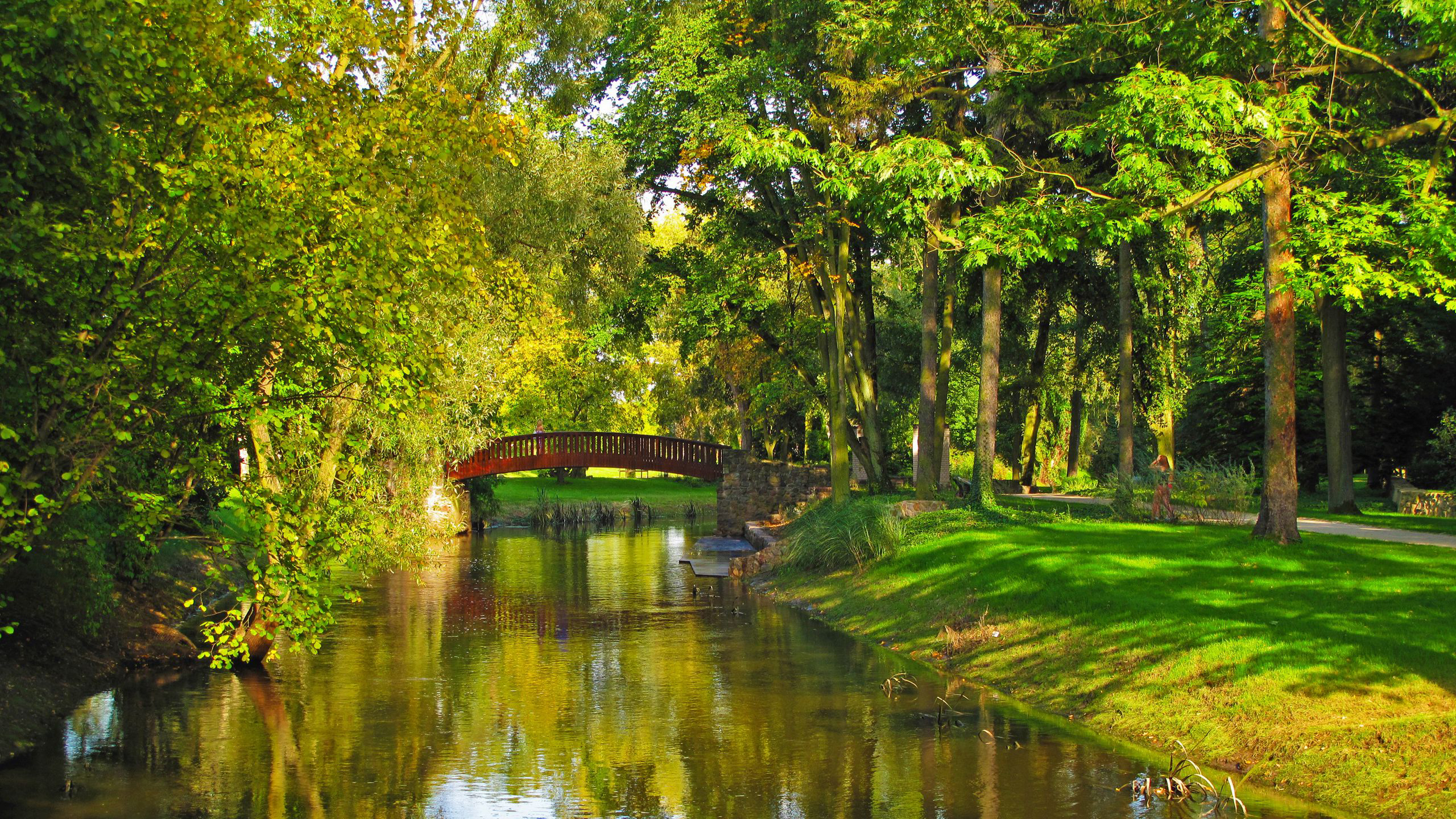 Landscape View Of Bridge Above Water Green Trees Bushes Grass Field Road HD Nature