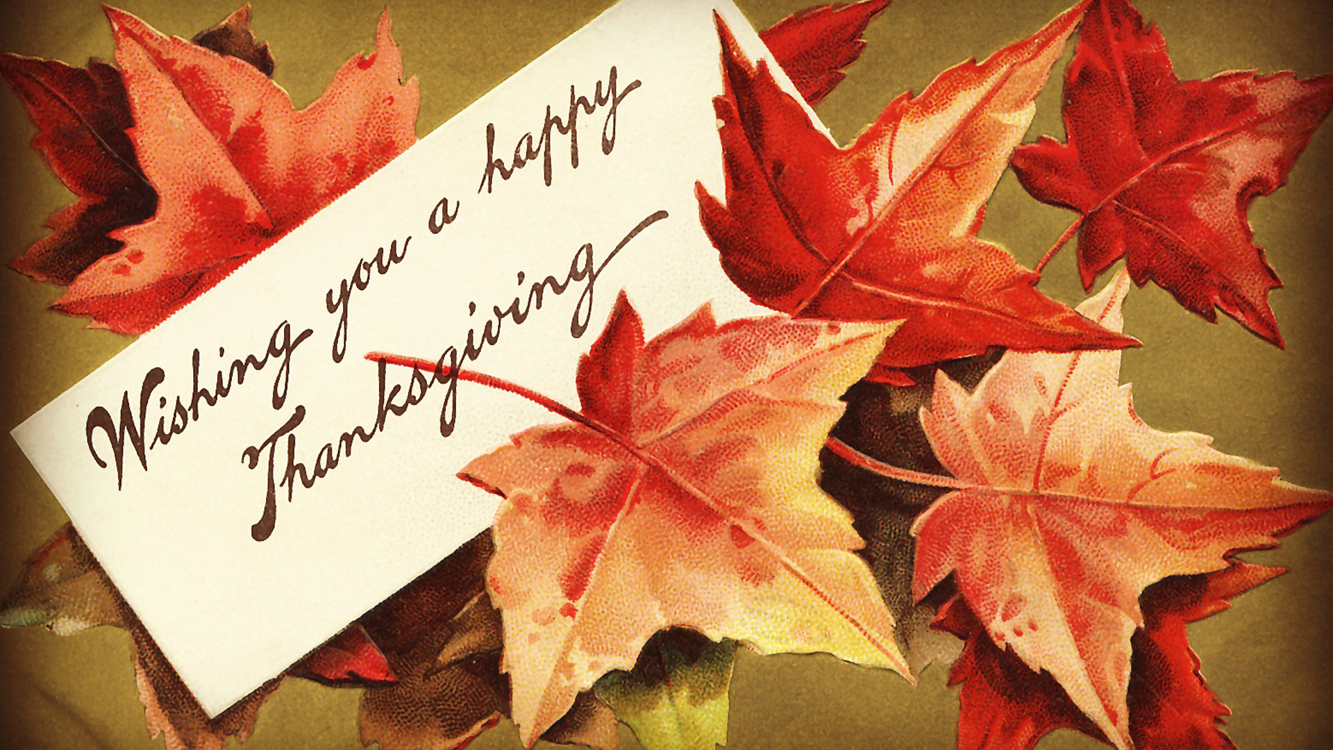 Wishing You A Happy Thanksgiving Word With Leaves HD Thanksgiving