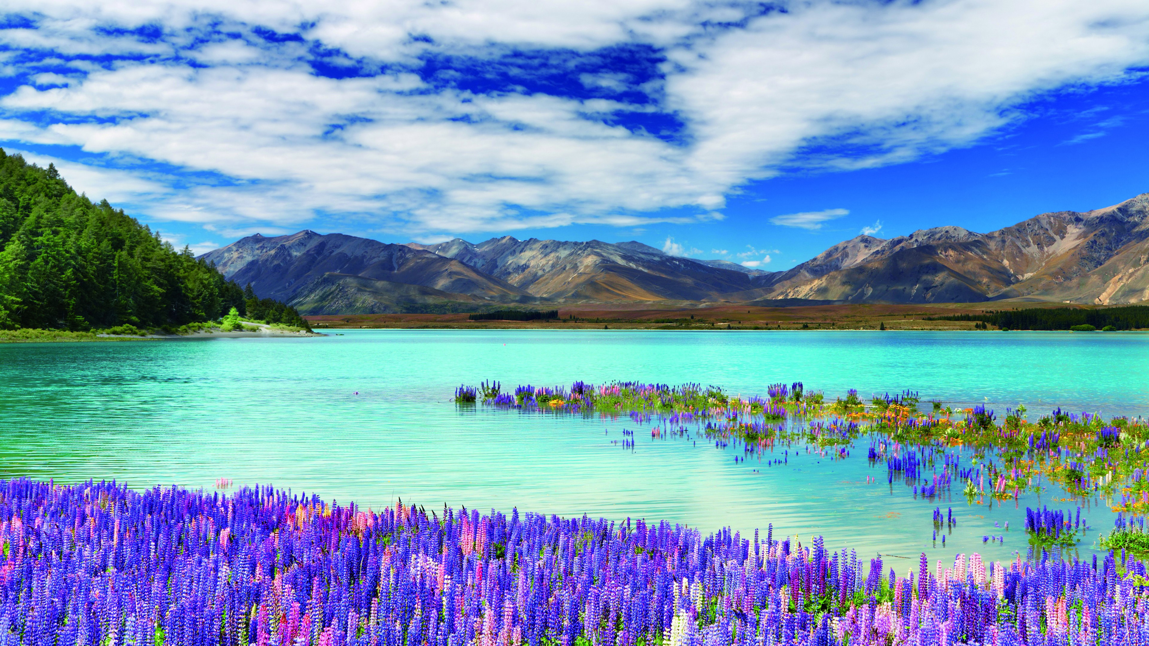 Beautiful Landscape View Of Mountains Calm Body Of Water Lavender Flowers On Water White Clouds Blue Sky K HD Nature