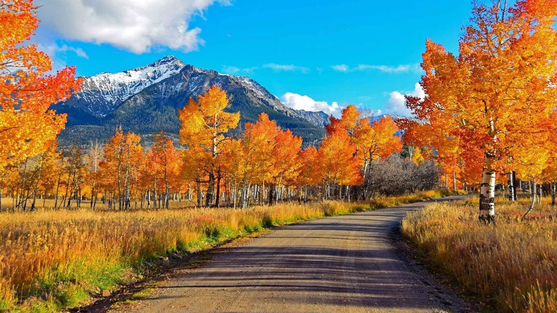 Road Between Yellow Orange Autumn Trees And Landscape Of White Covered Mountain Under White Blue Sky HD Nature