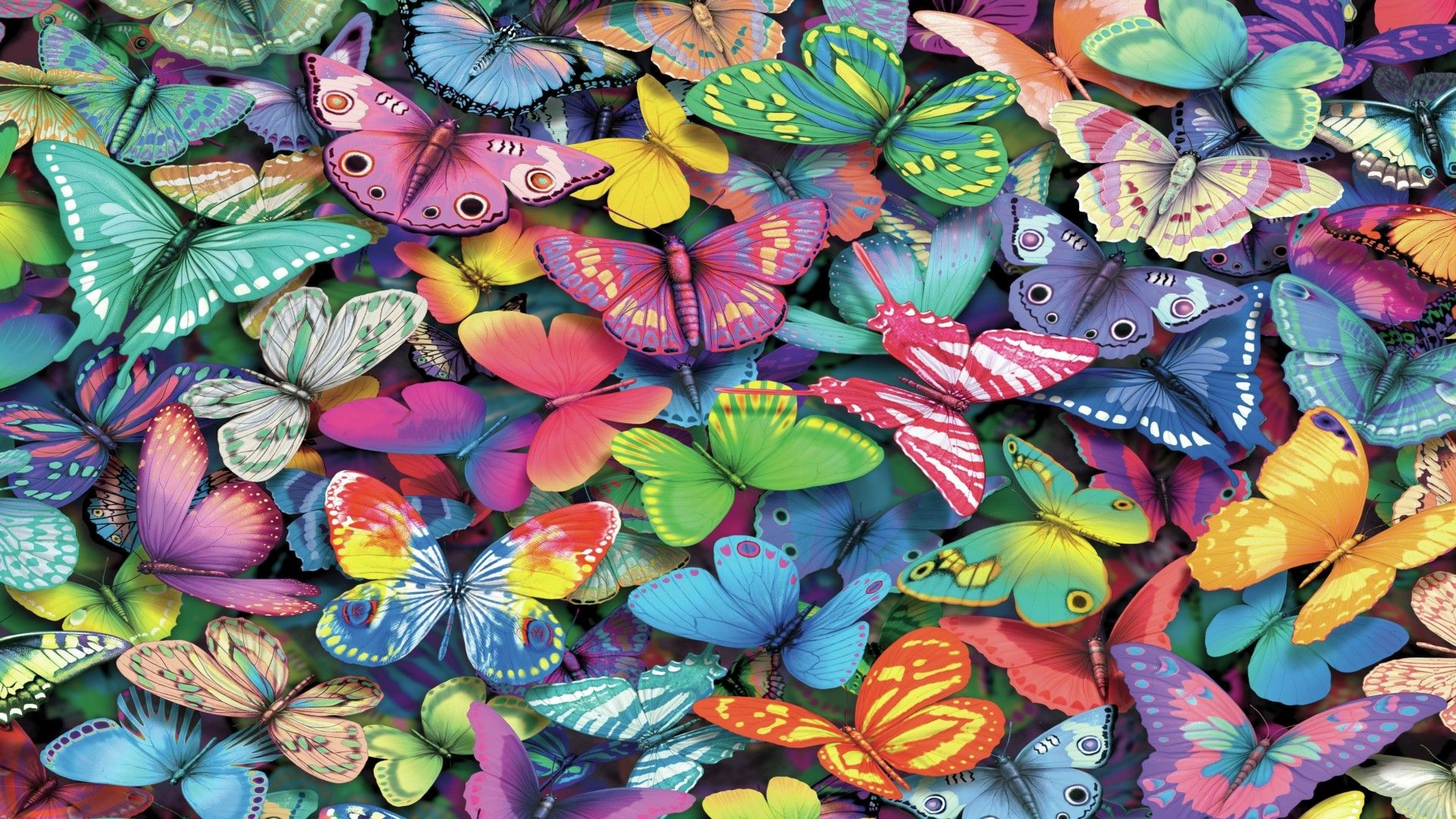 Collection Of Colorful Butterflies K HD Butterfly