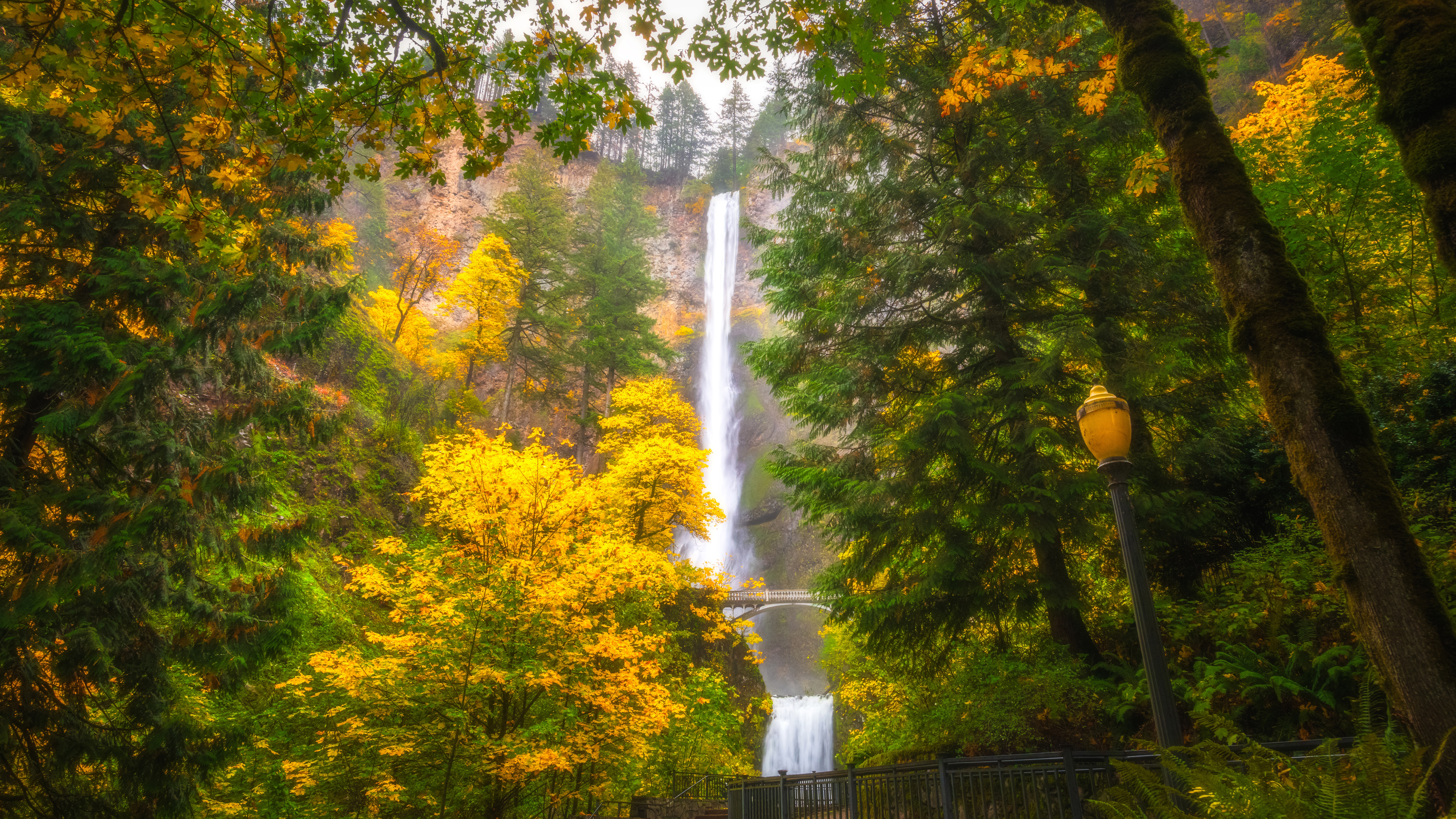 Multnomah Waterfalls Oregon Tree During Fall K K HD Nature