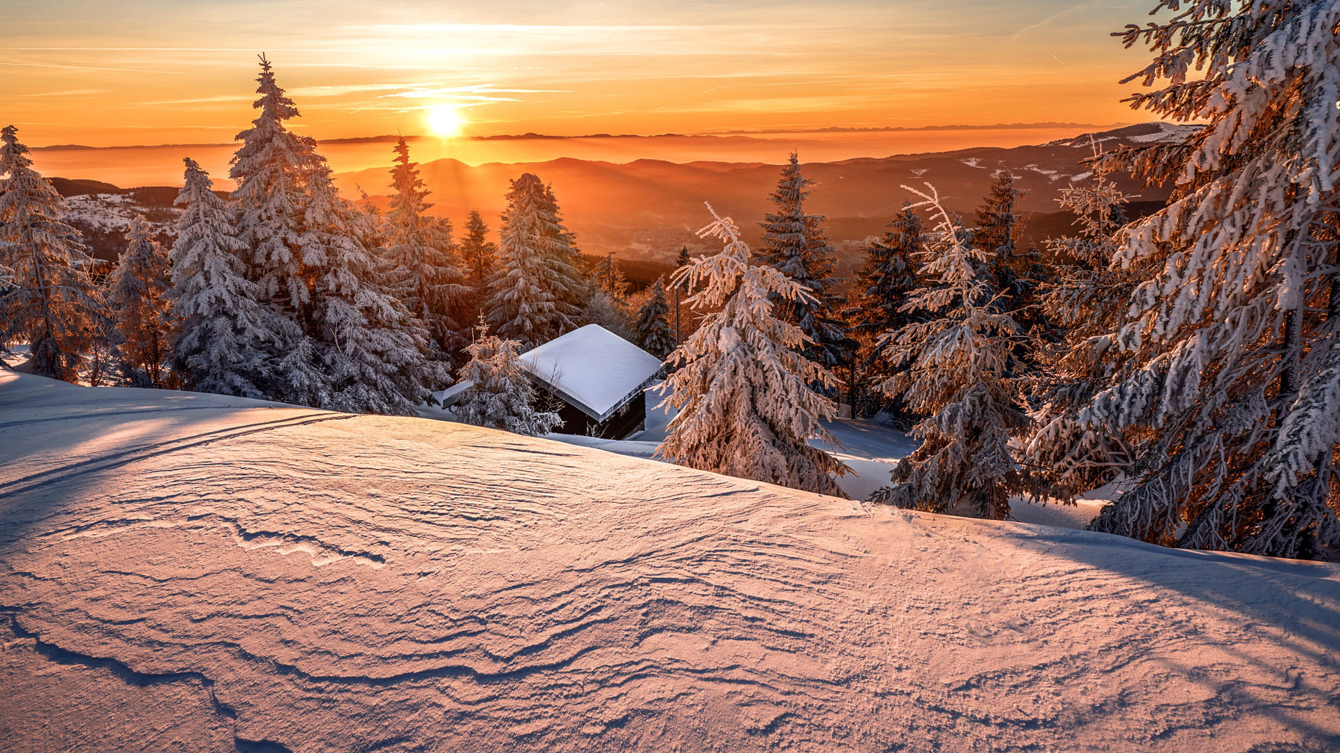 Snow Covered Mountain Trees And House During Sunrise HD Winter