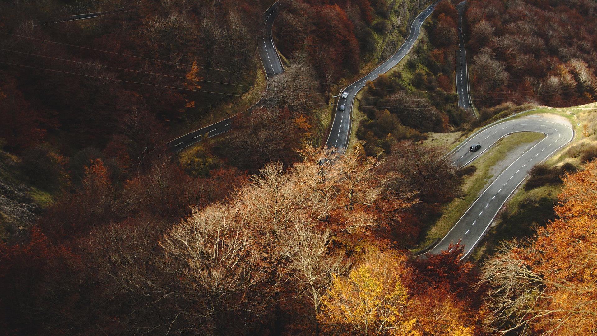 Aerial View Of Roads On Mountain And Trees HD Nature