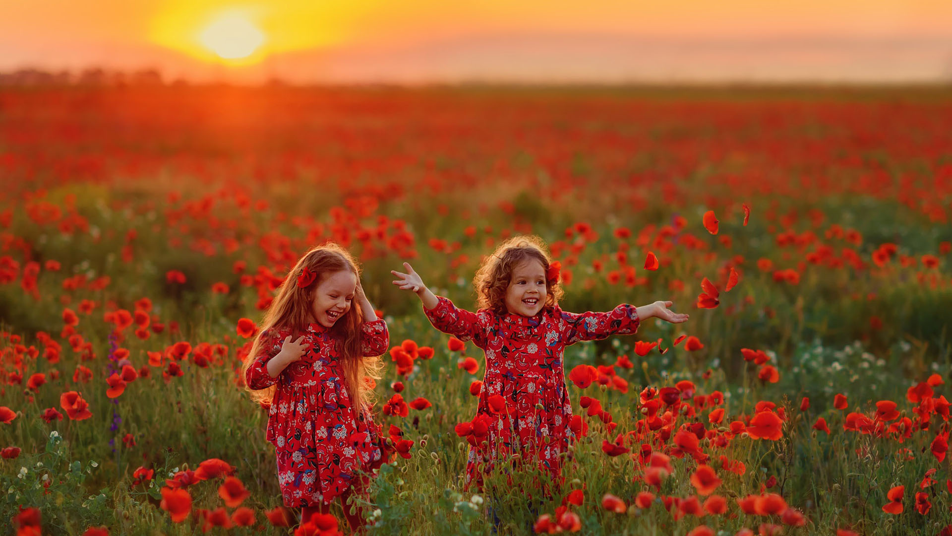 Smiling Two Little Girls Are Standing In Red Common Poppy Flowers Field During Sunset HD
