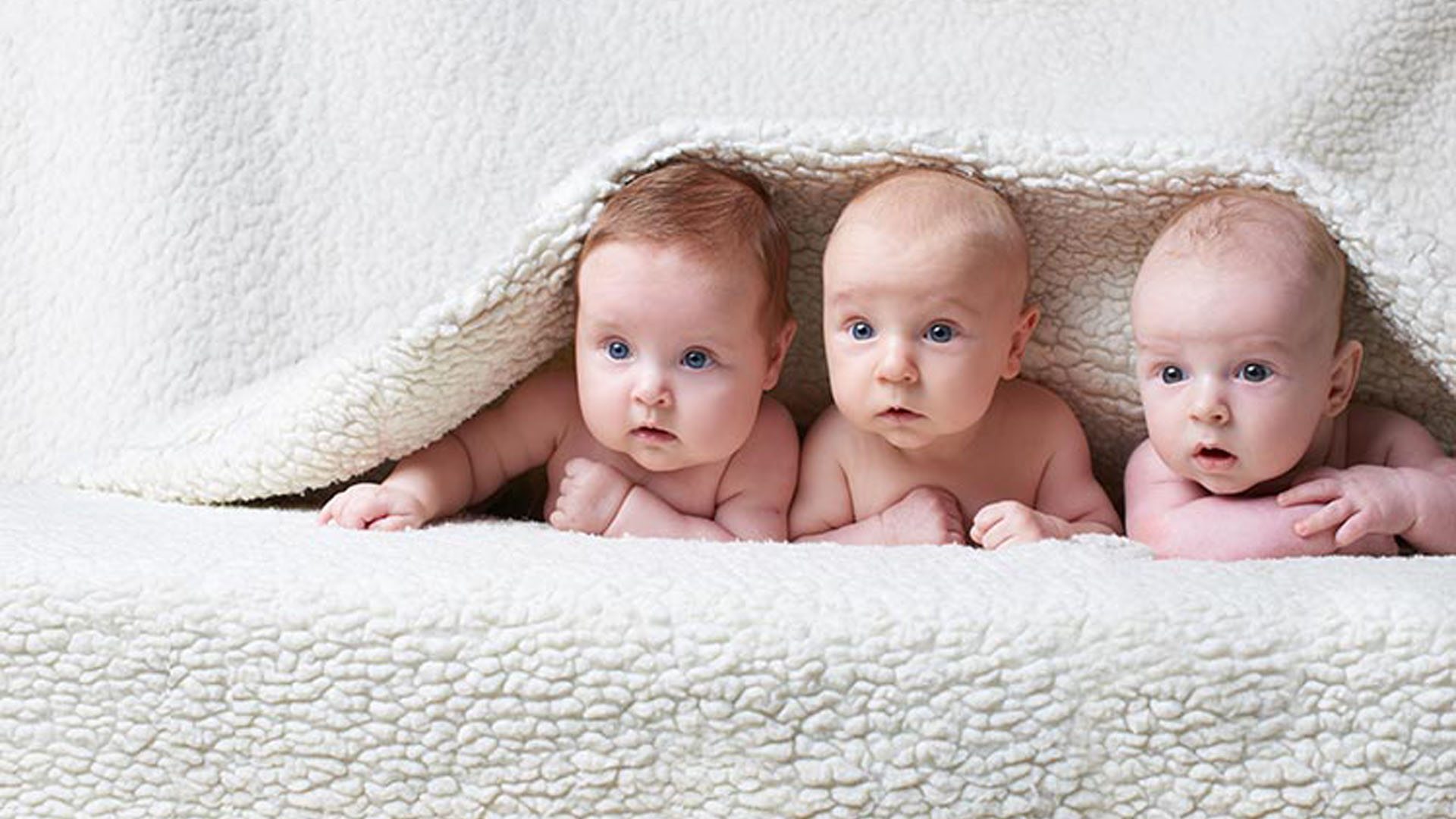 Three Babies Are Lying Down Under White Cloth With Stare Look HD
