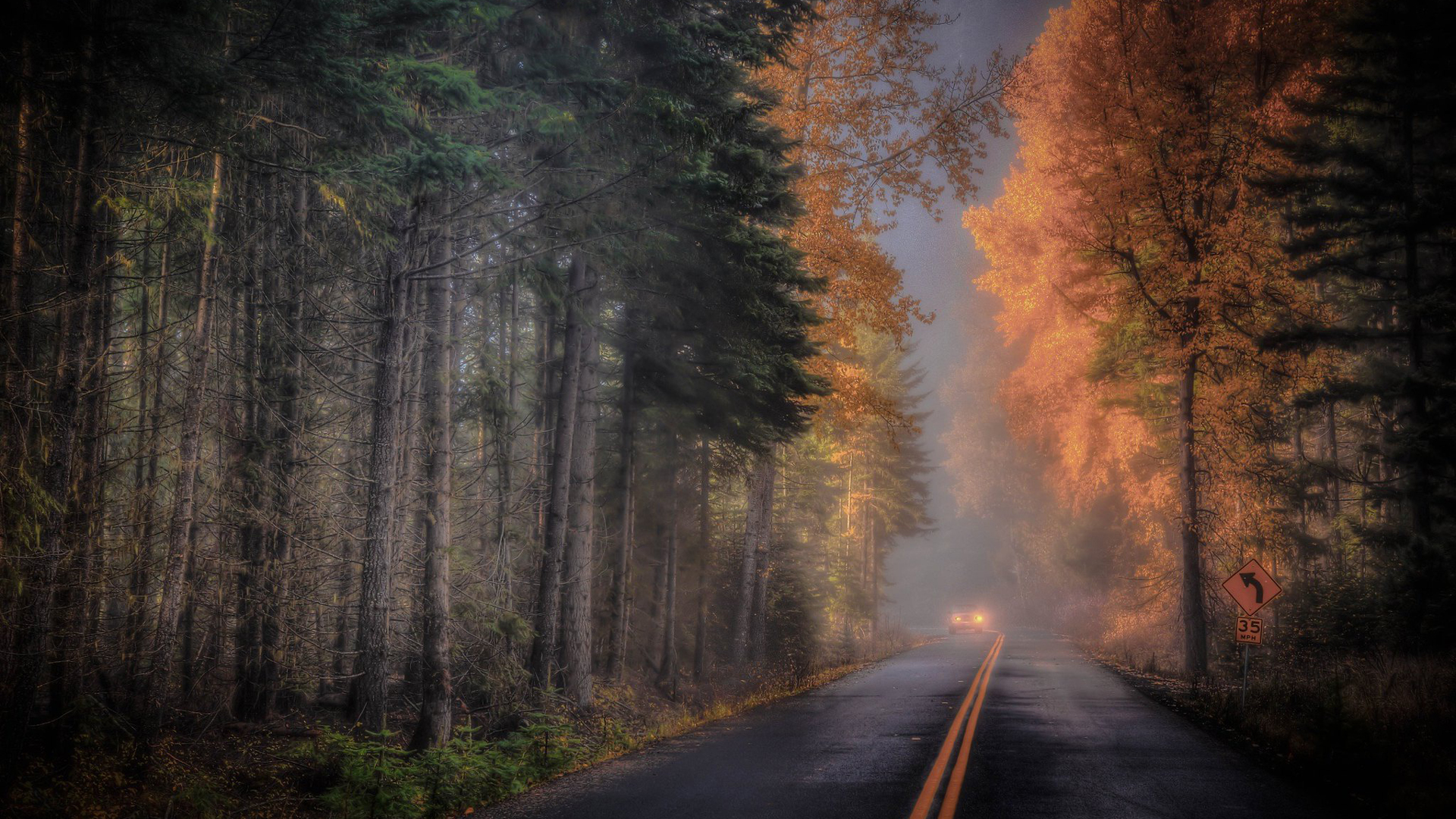 Road Between Green And Yellow Leafed Trees With Fog HD Nature