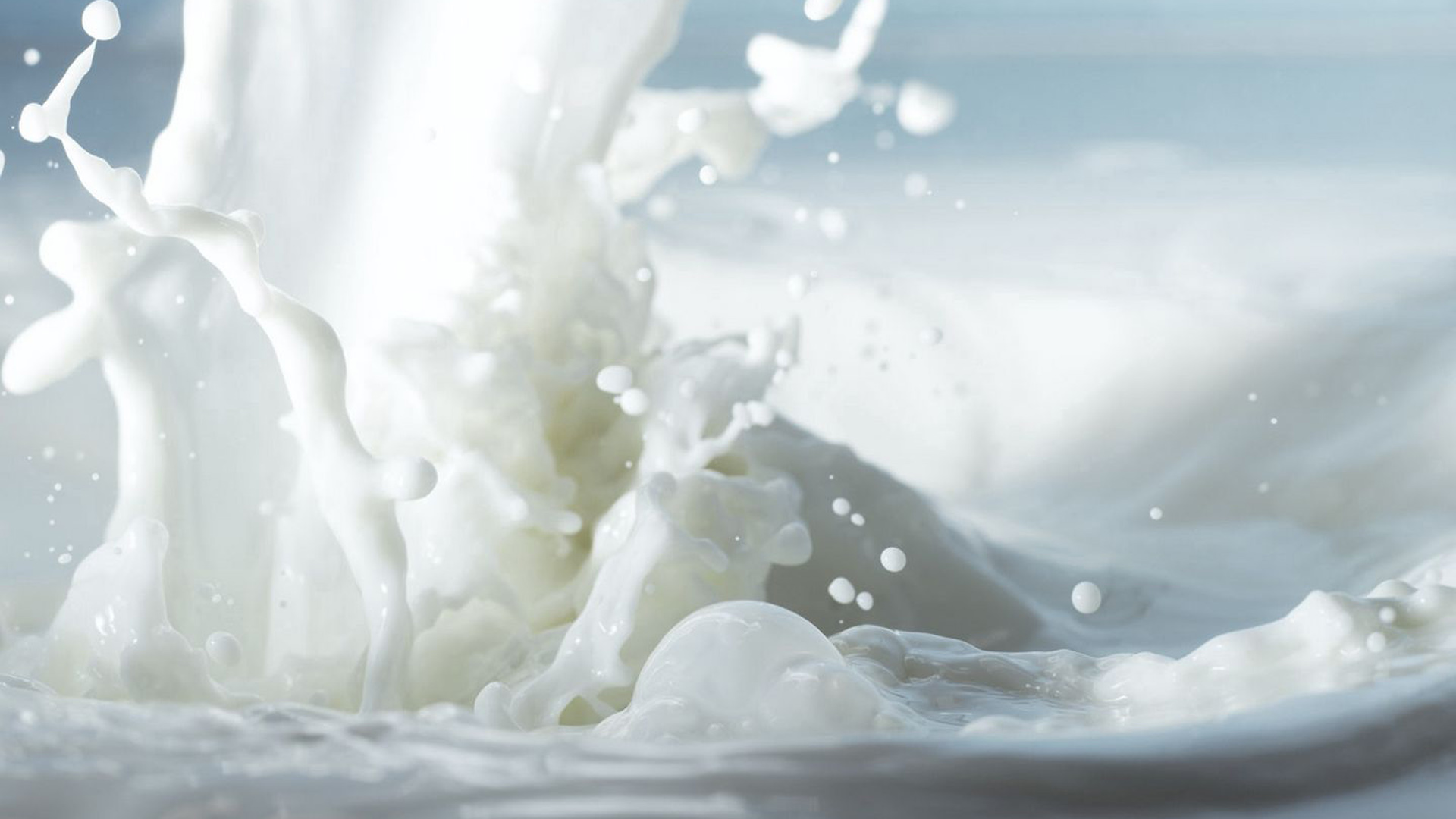 Closeup White Milk Spray Liquid White Wallpaper HD White