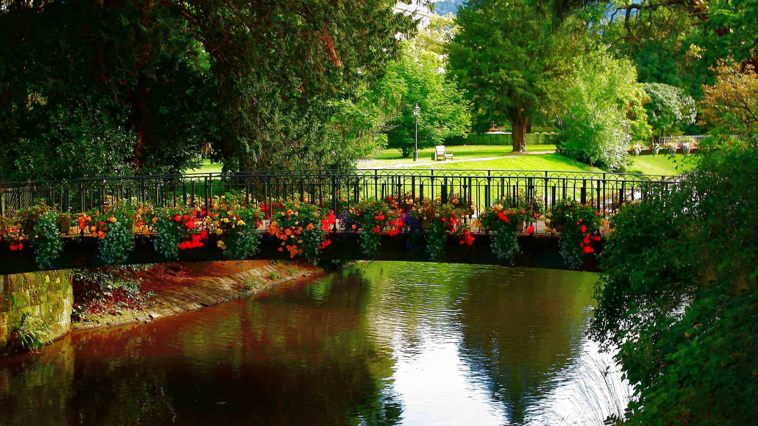 Bridge With Colorful Flowers Above Water Between Green Trees HD Beautiful