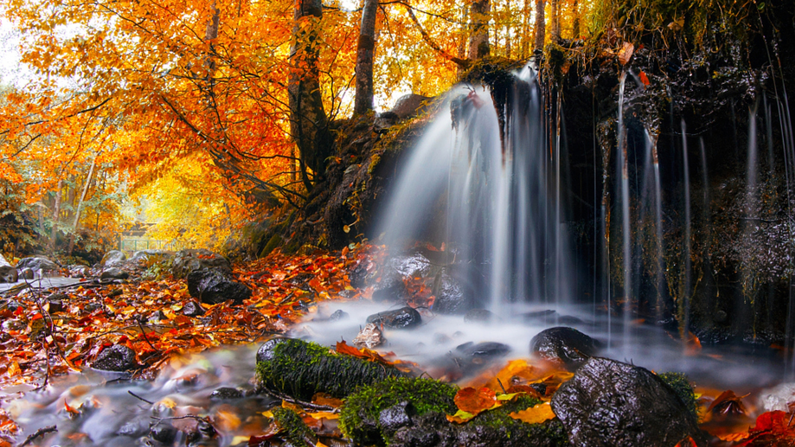 Beautiful Waterfall Stream Scenery Yellow Autumn Leaves Tree Branches HD Nature