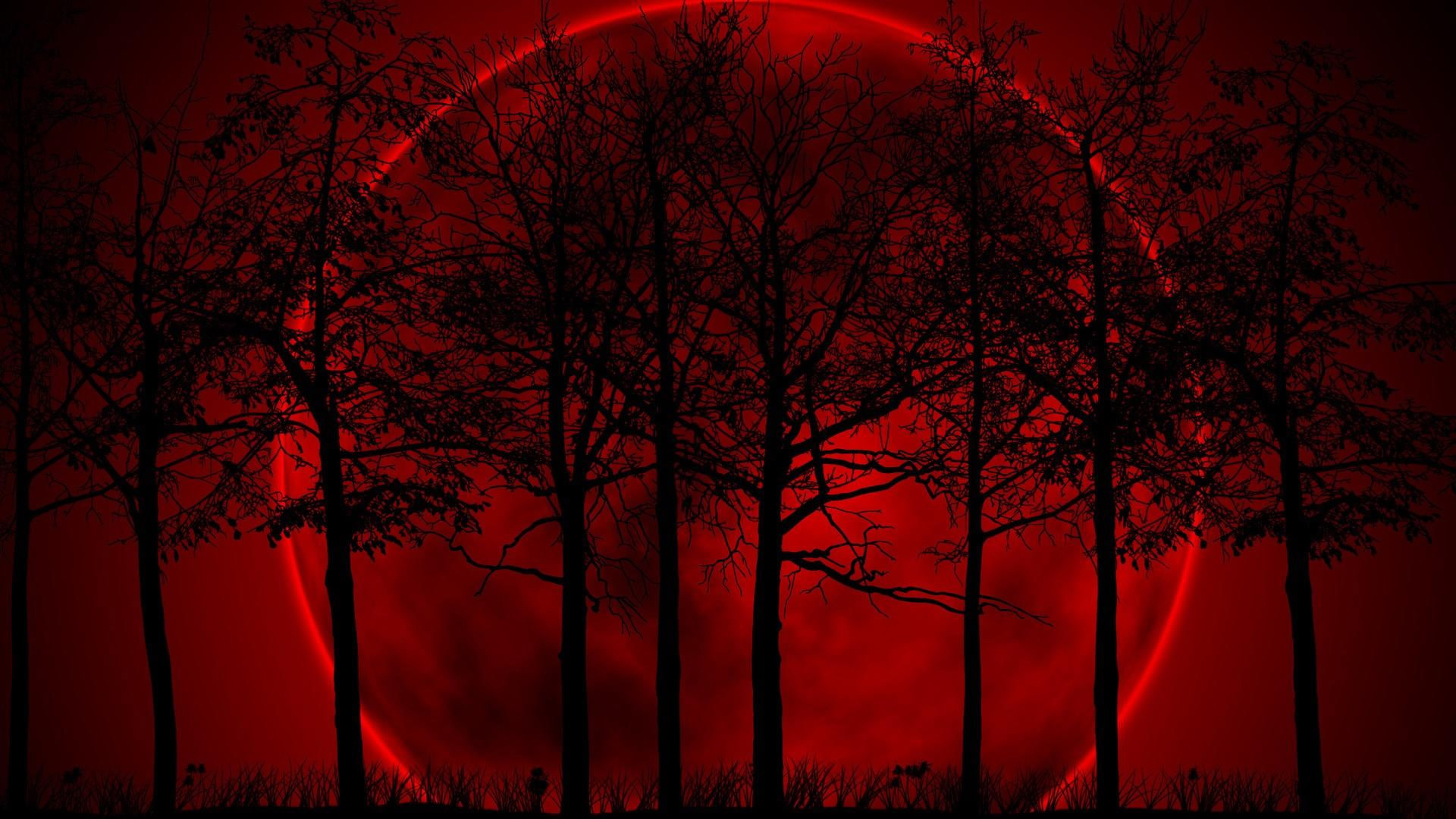 Red Full Moon Black Trees Night Fantasy HD Red