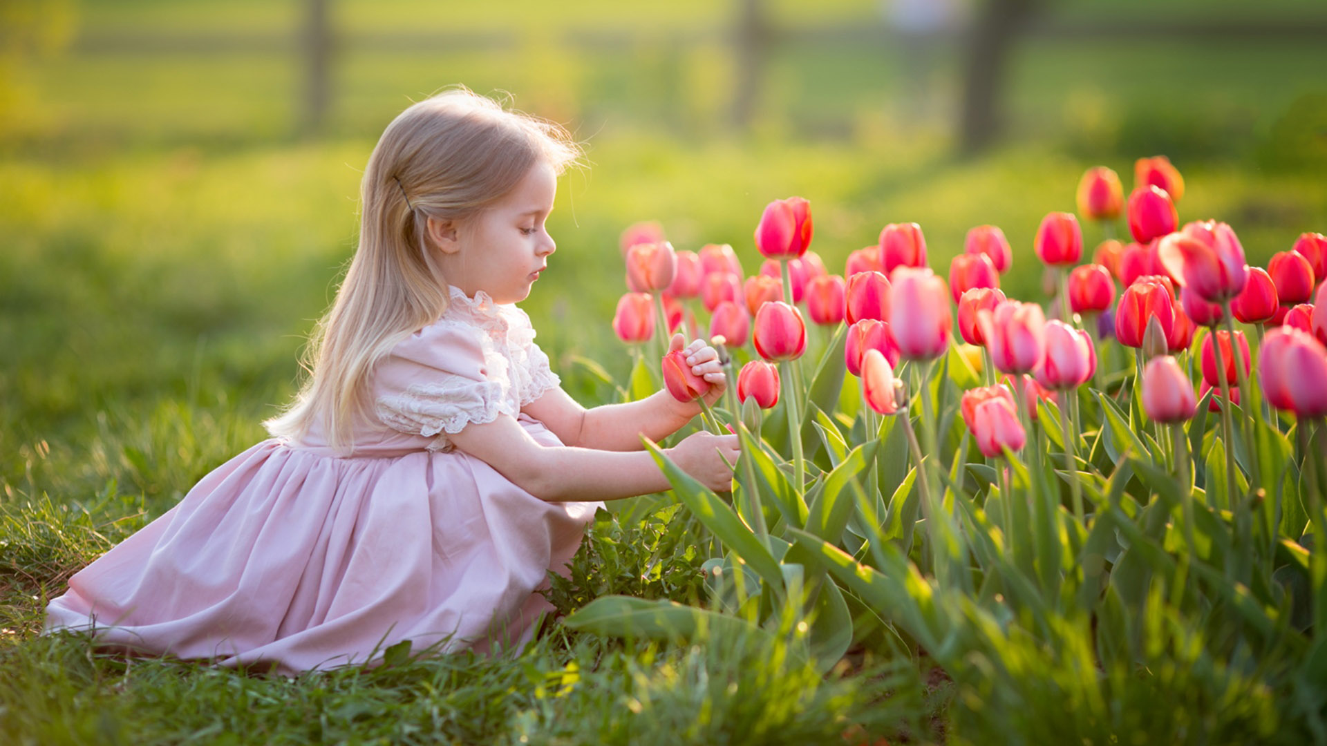 Little Girl Is Touching Tulip Sitting On Grass Wearing Light Pink Dress In Green Blur Wallpaper HD