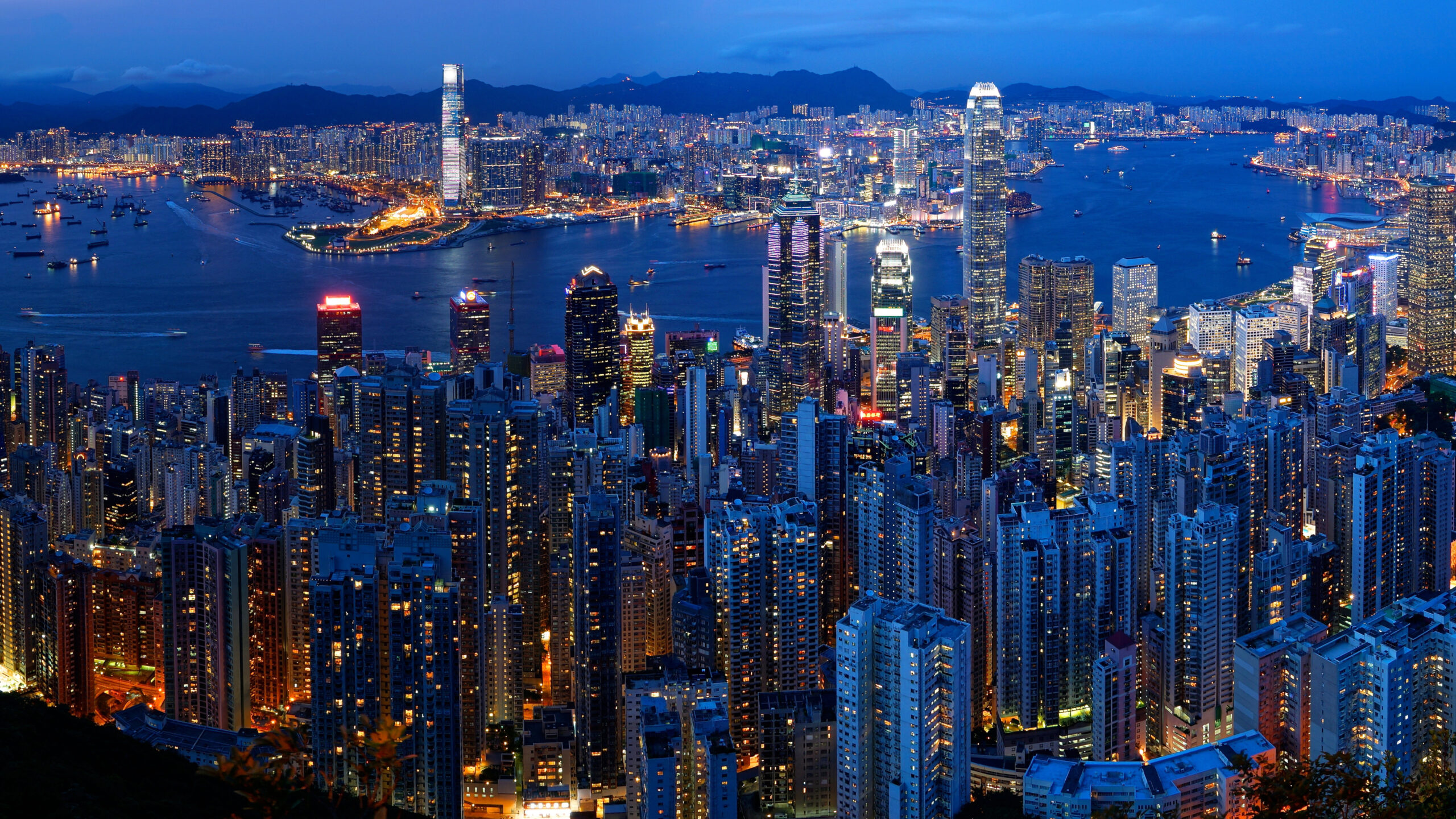 Victoria City Hong Kong City Buildings Night View K K HD Travel