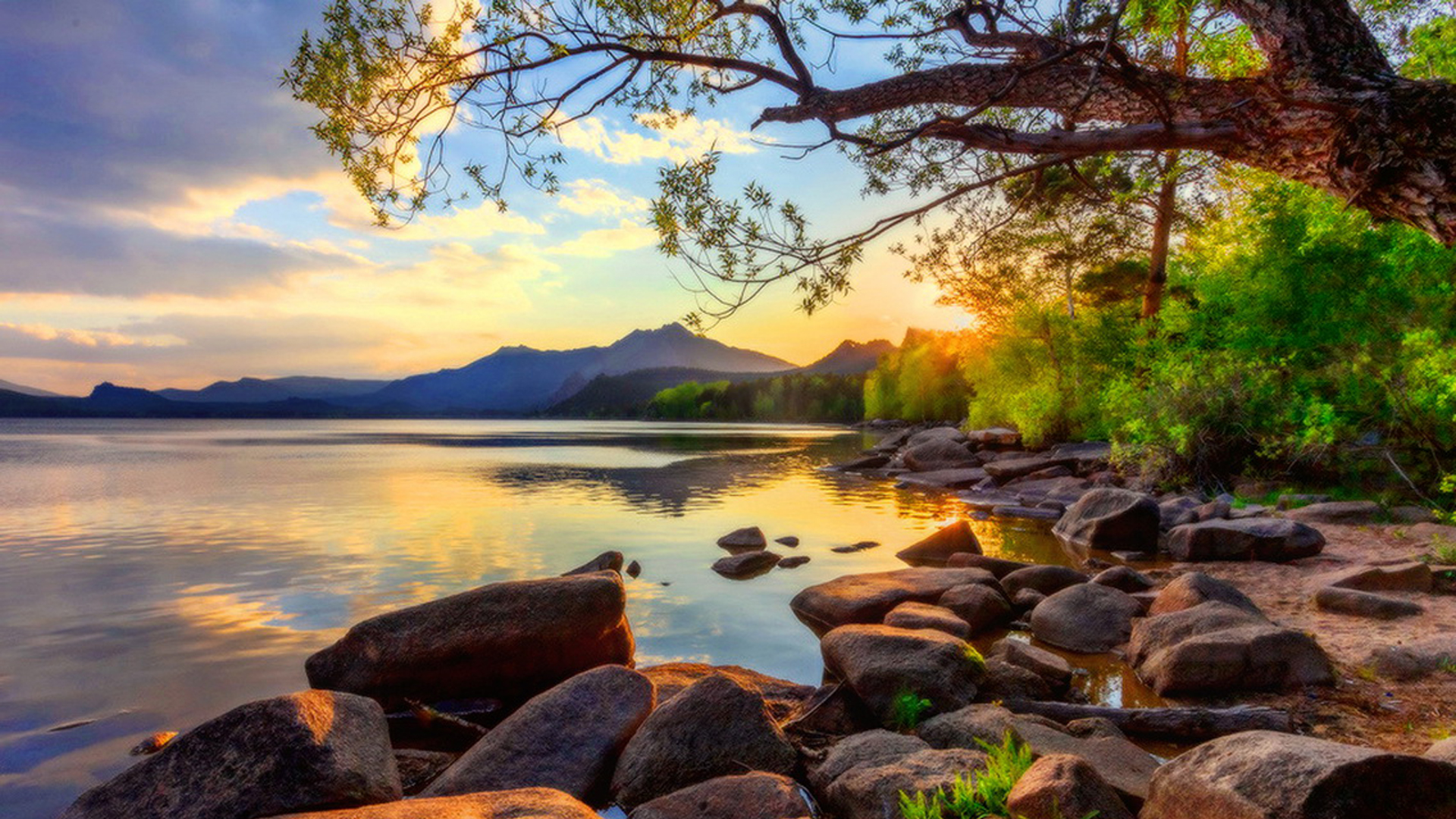 Closeup View Of Stones On Water Green Trees Bushes Plants Landscape View Of Mountains During Sunset HD Nature