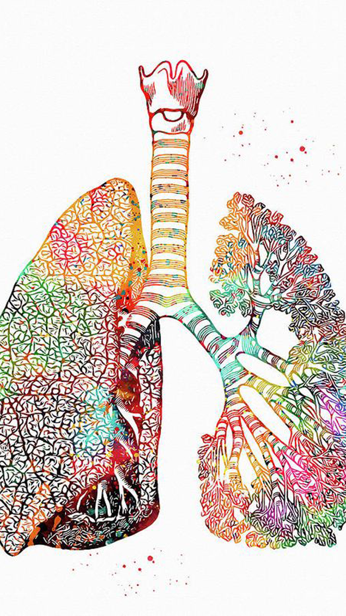 Art Of Lungs In White Wallpaper HD Medical Art