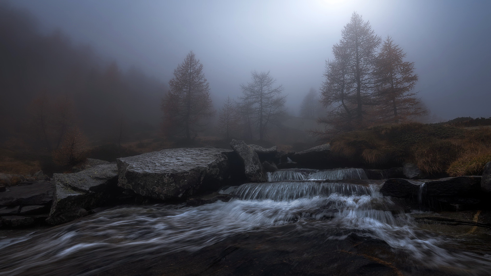 Water Stream Between Stones And Trees With Fog HD Nature