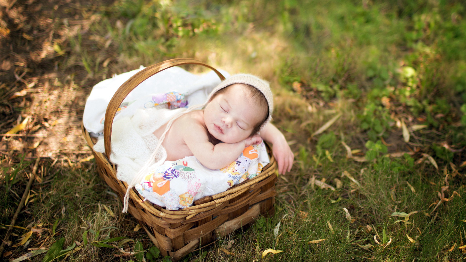Baby Child Is Sleeping On White Bed Inside Bamboo Basket On Green Grass HD