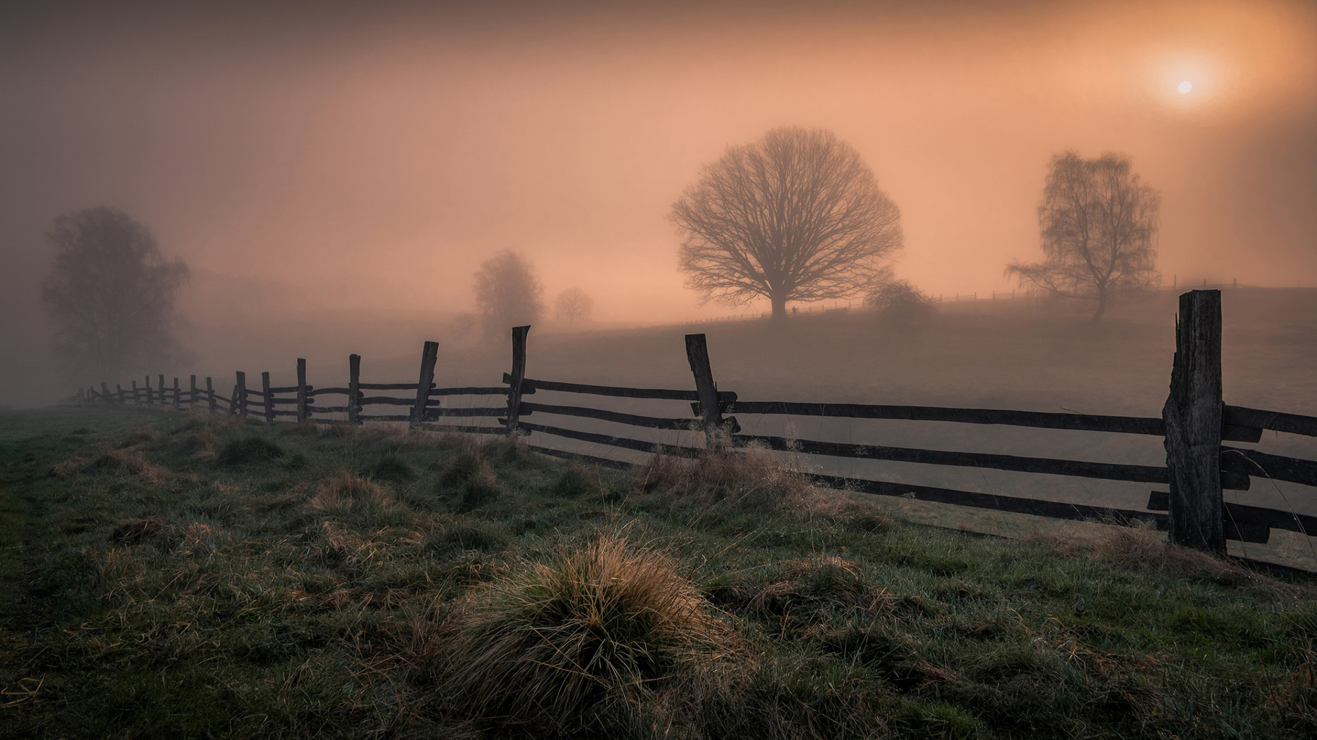 Grass Covered Land With Fence Covered By Fog During Sunrise HD Nature
