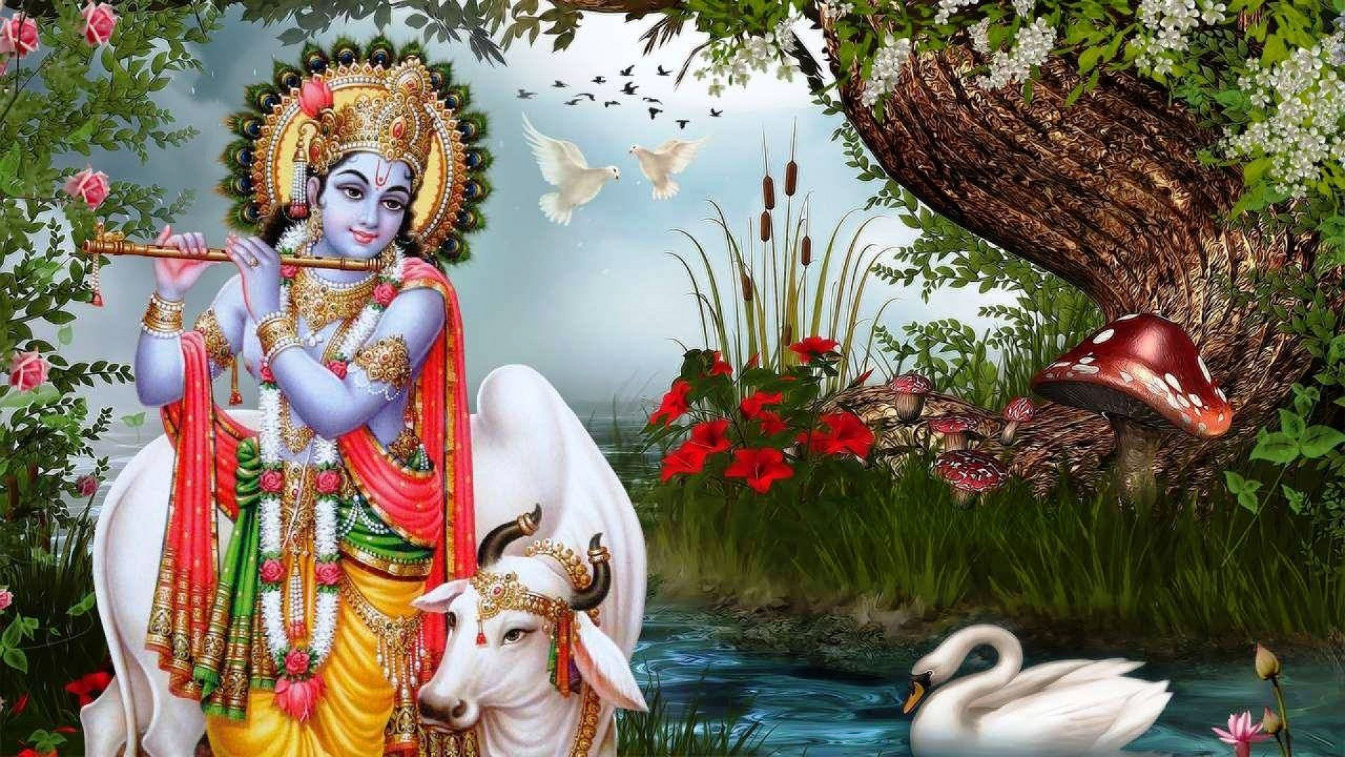 God Krishna In Nature Wallpaper HD God
