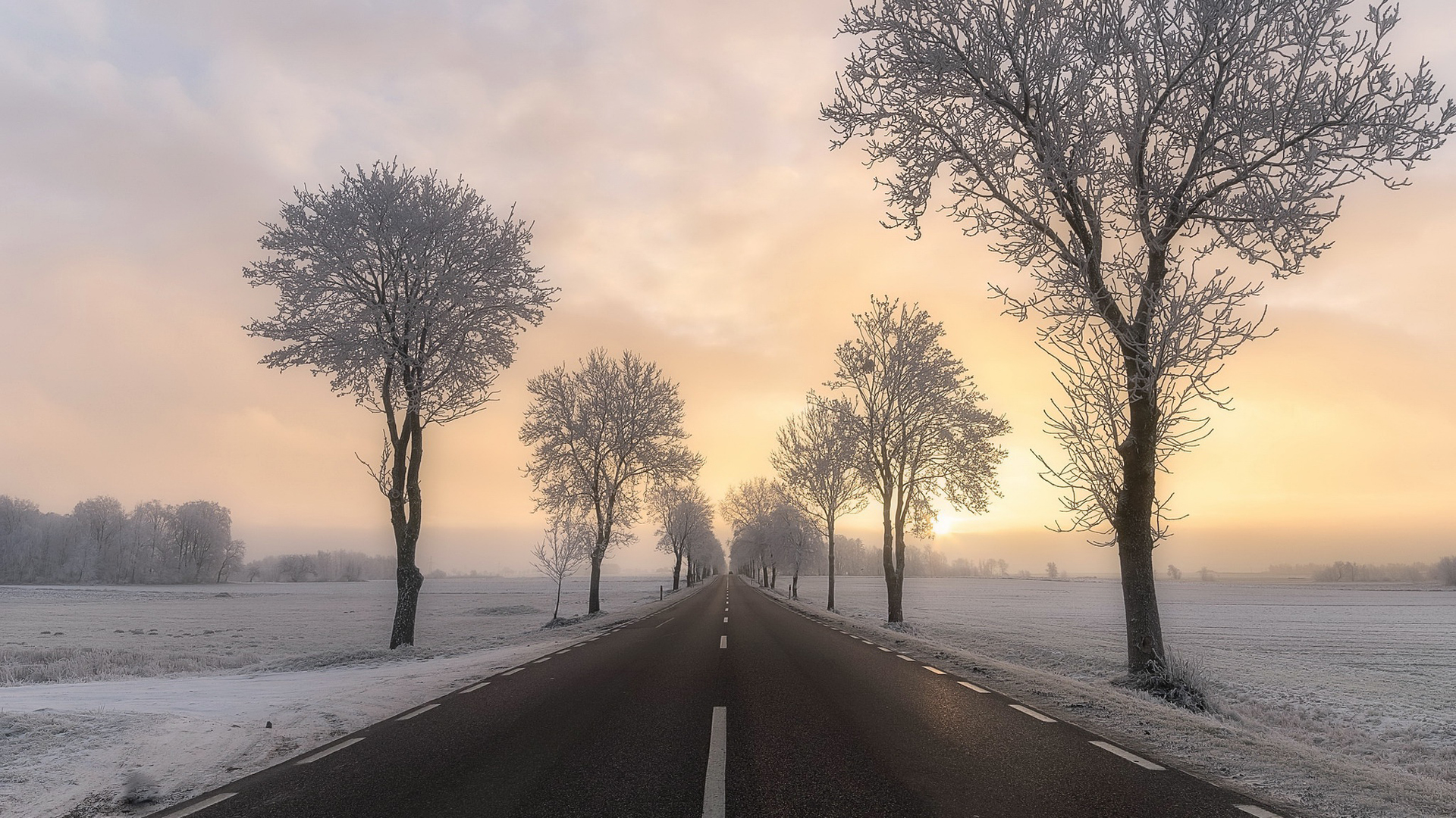 Road Between Trees With Snow Fog Under White Clouds During Sunset HD Nature