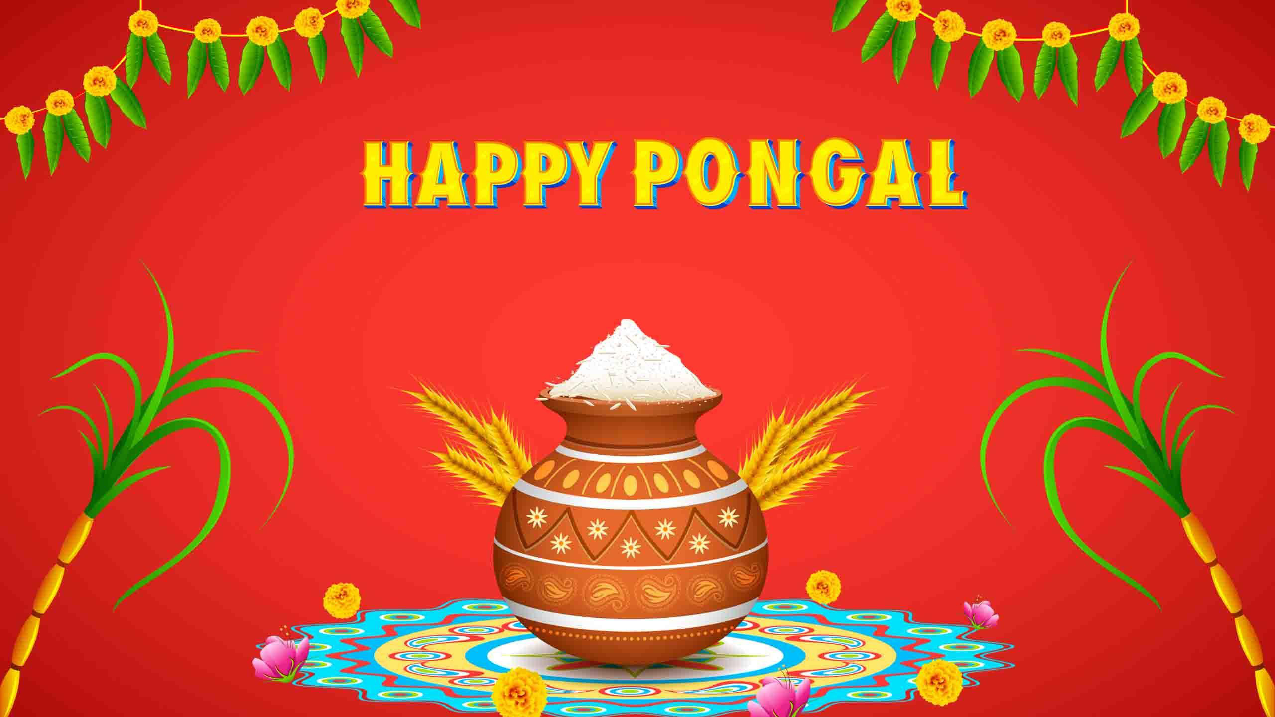 Happy Pongal Red Wallpaper HD Pongal
