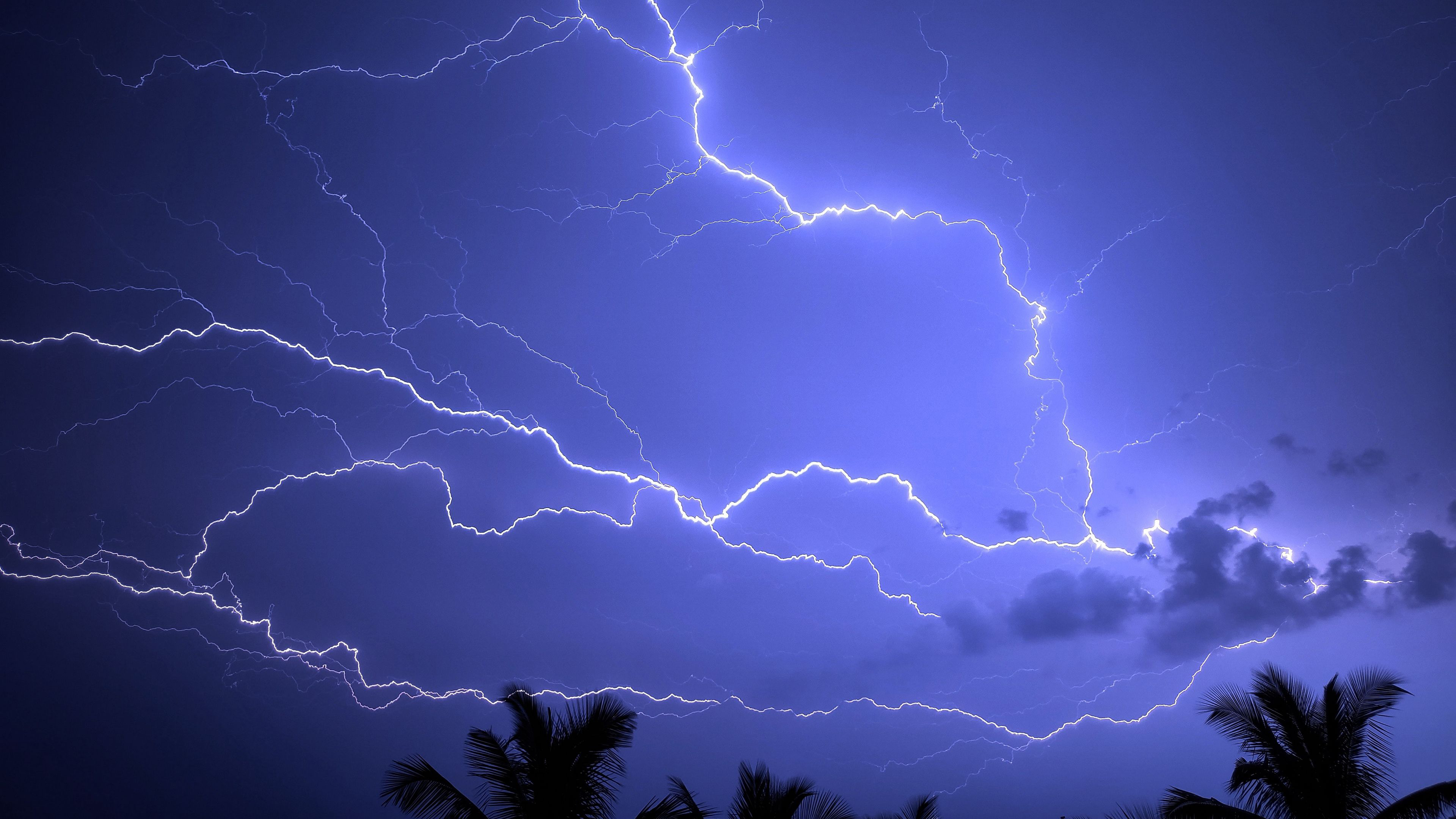 Lightning Storm Palm Sky K HD