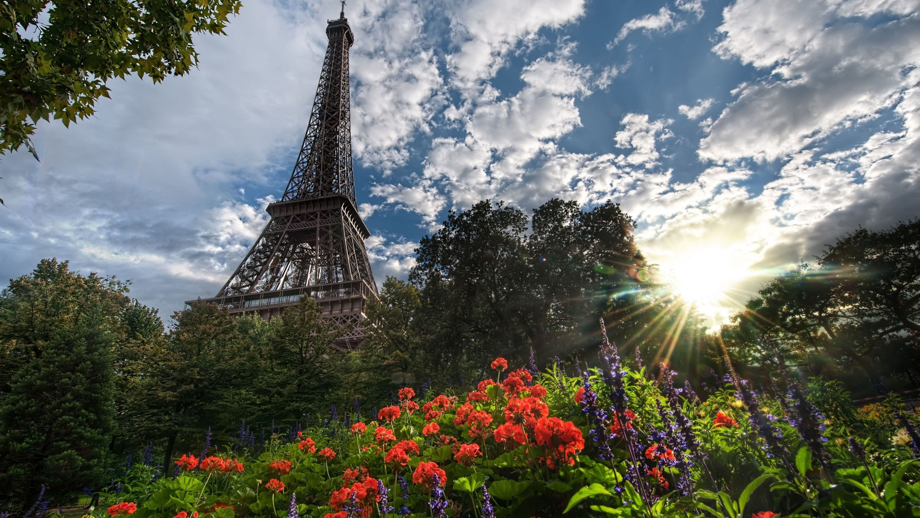 Paris Eiffel Tower Upward View With Trees And Flowers In Front And Sunbeam K HD Travel