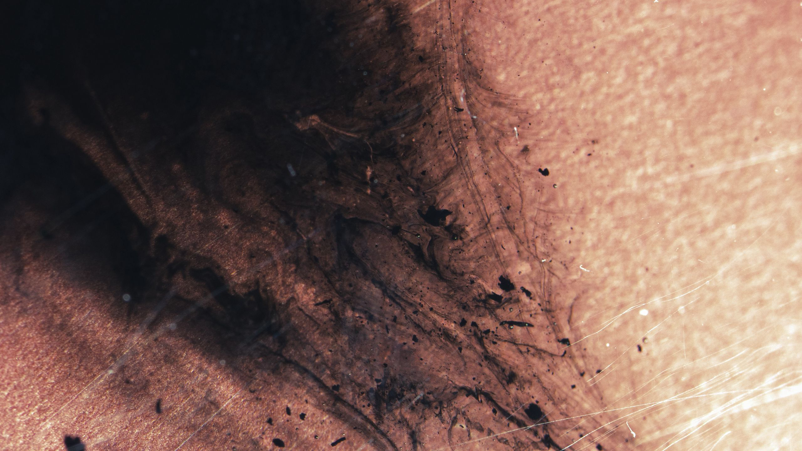 Brown Wood Firing Surface Abstraction HD Abstract