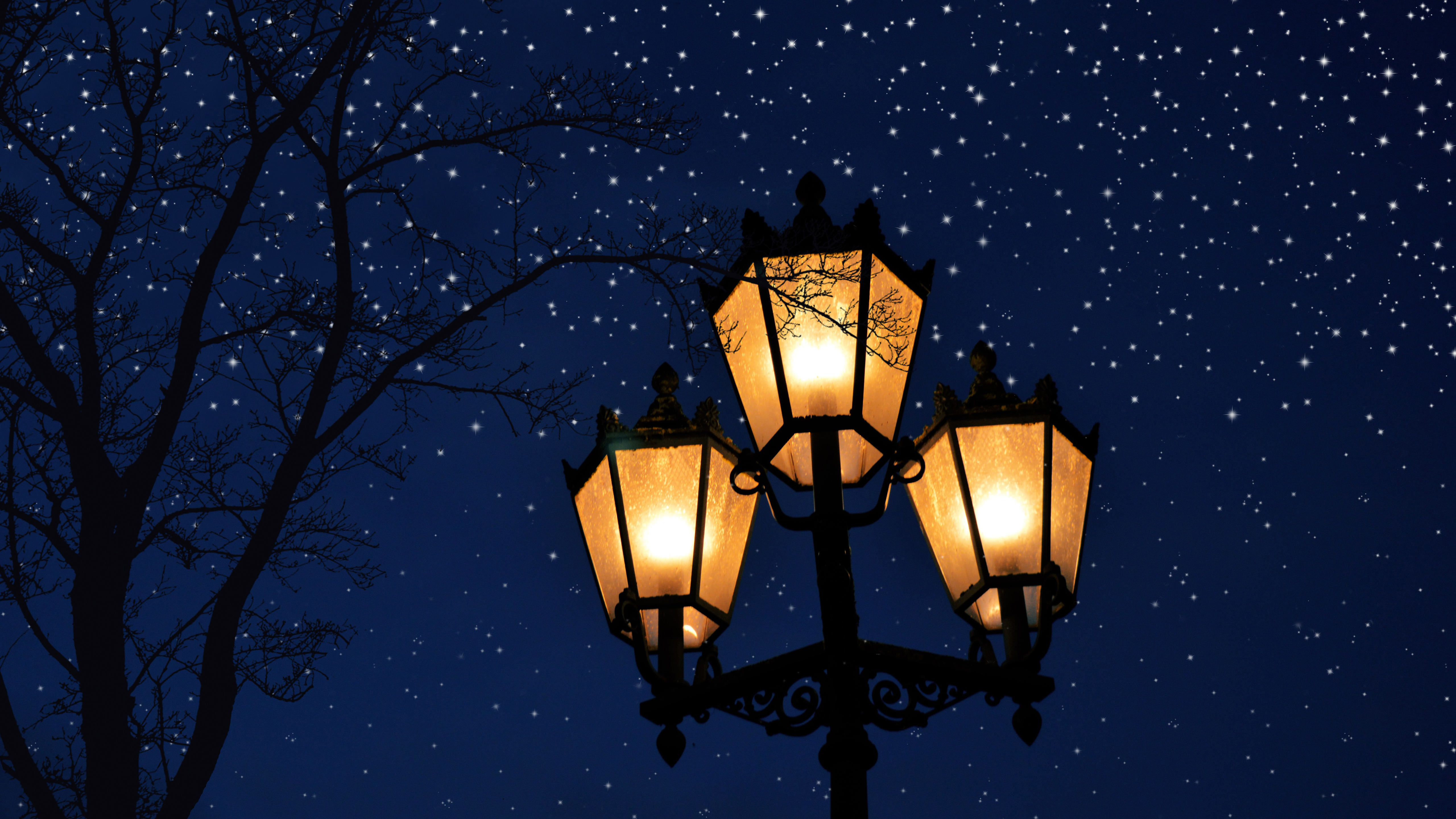 Lamp Post And Tree Without Leaves In Wallpaper Of Blue Sky And Stars K K HD Nature