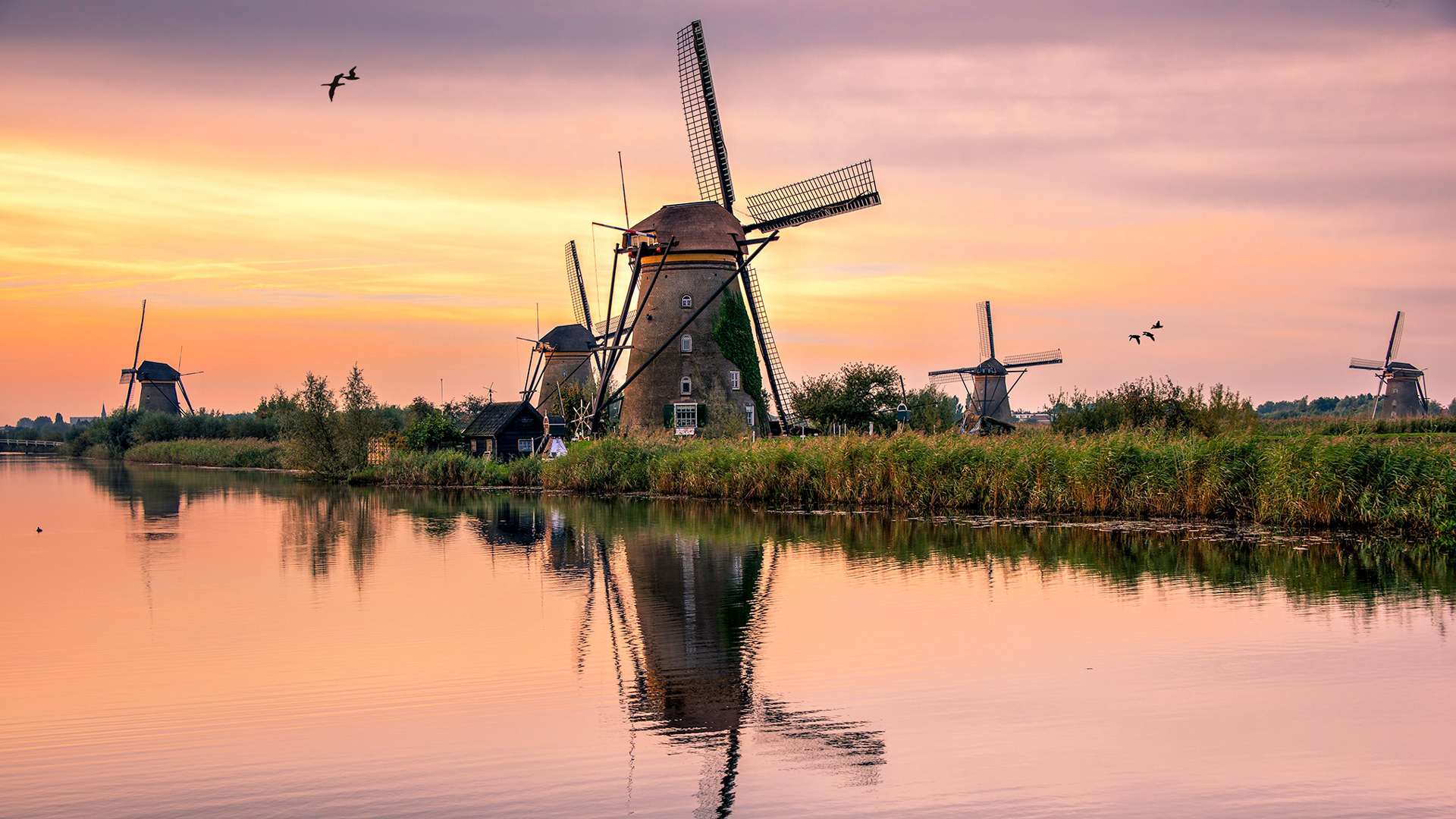 Windmills Of Kinderdijk Netherlands South Holland Province HD Travel