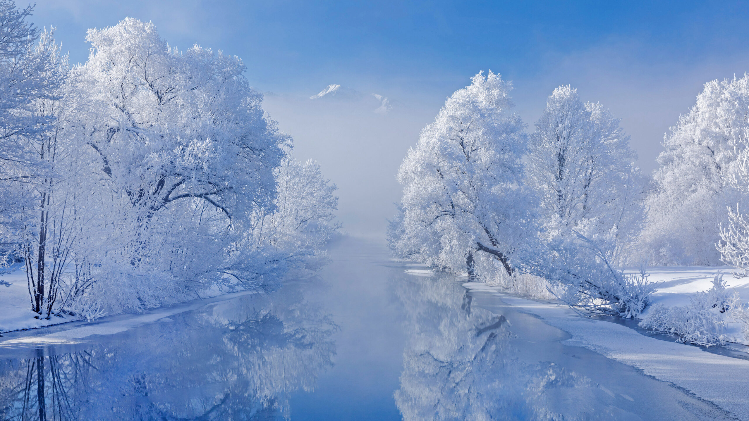 River Between Snow Covered Trees Under Blue Sky Reflection On Water K K HD Winter