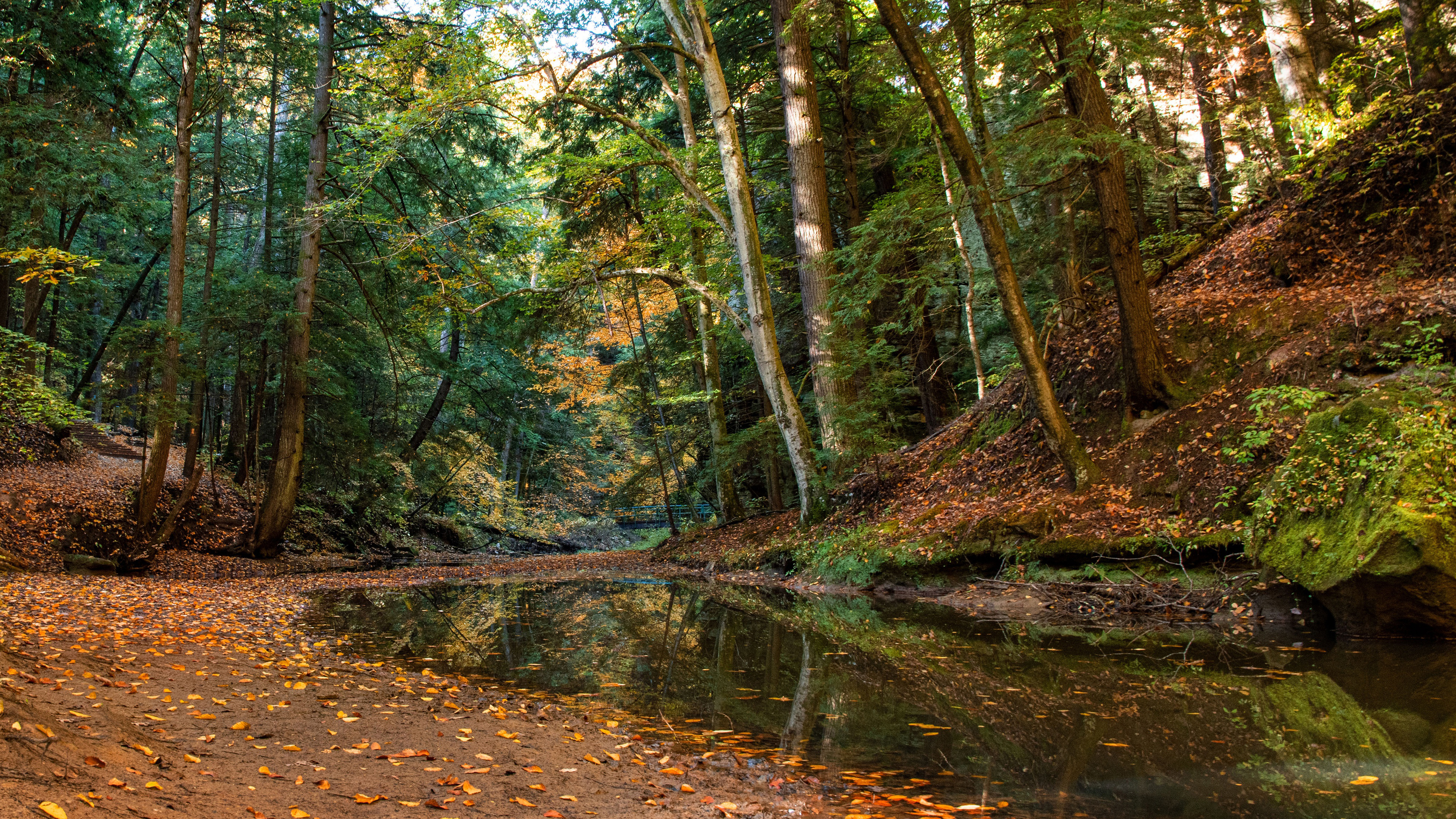 Ohio Stream Forest K HD Nature
