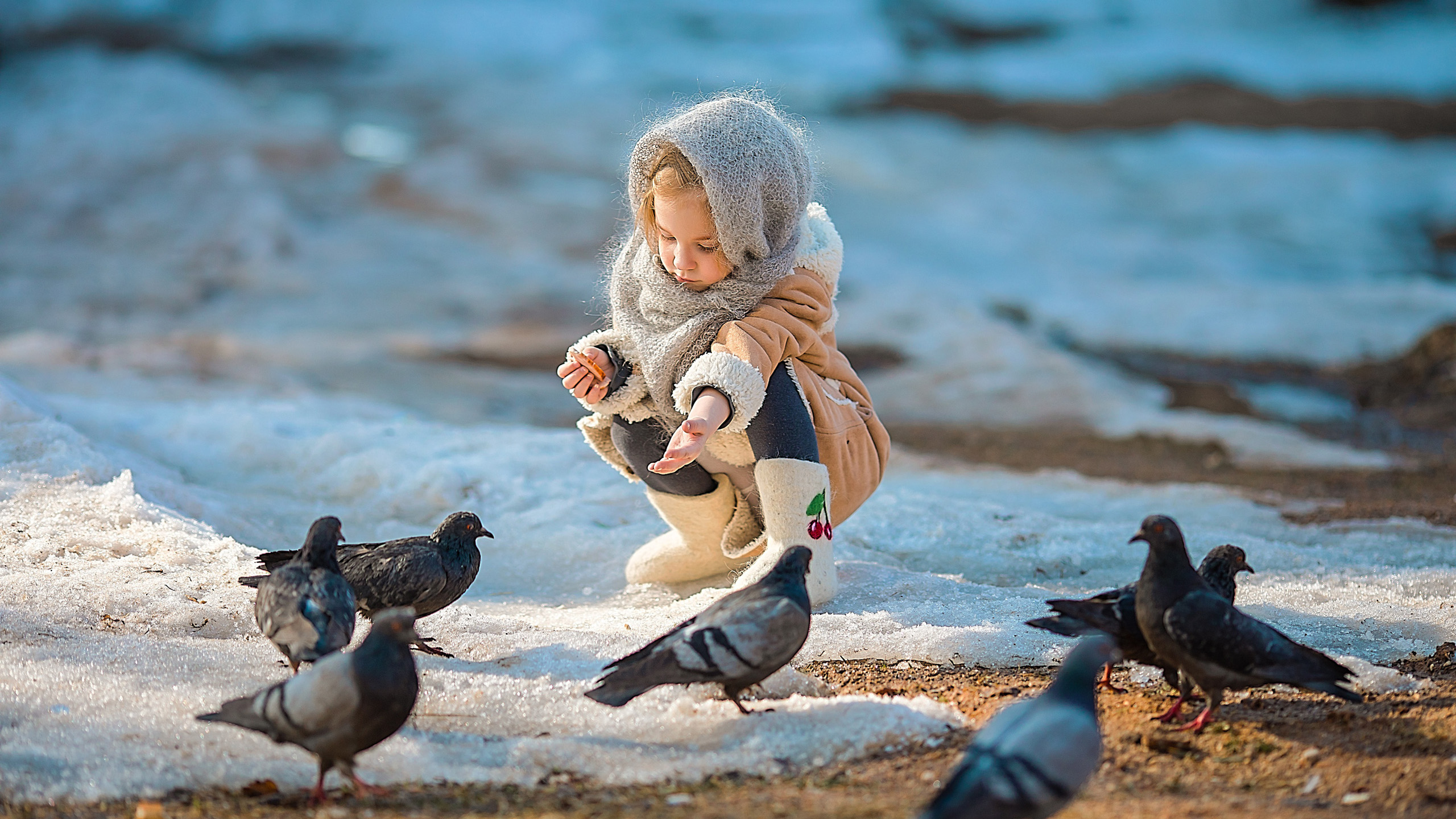 Little Girl Is Feeding Pigeons Wearing Woolen Sweater Sitting In Blur Snow Wallpaper HD