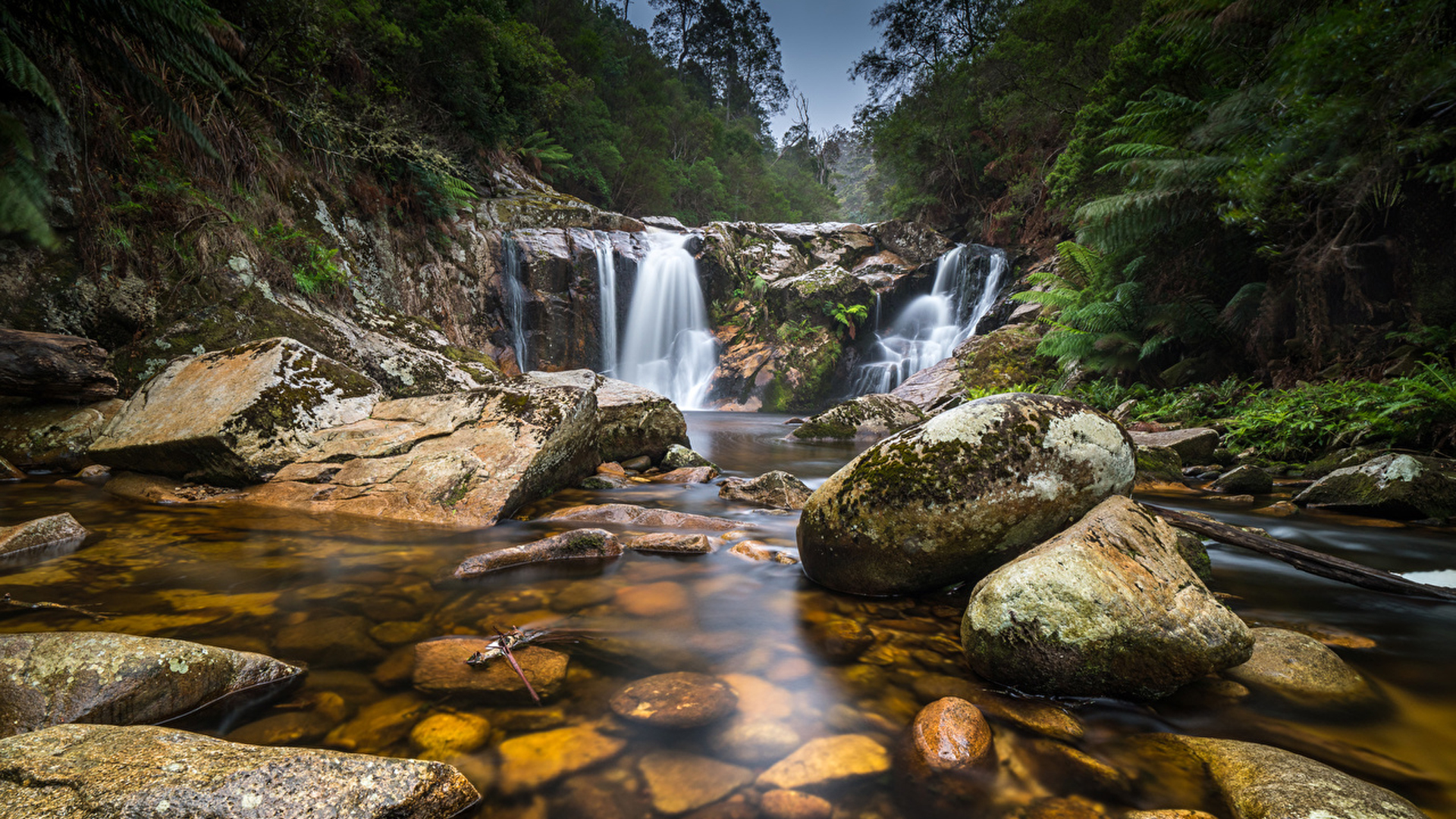 Beautiful Nature Wallpaper Waterfalls Stream From Rock Between Green Trees Forest Wallpaper HD Nature