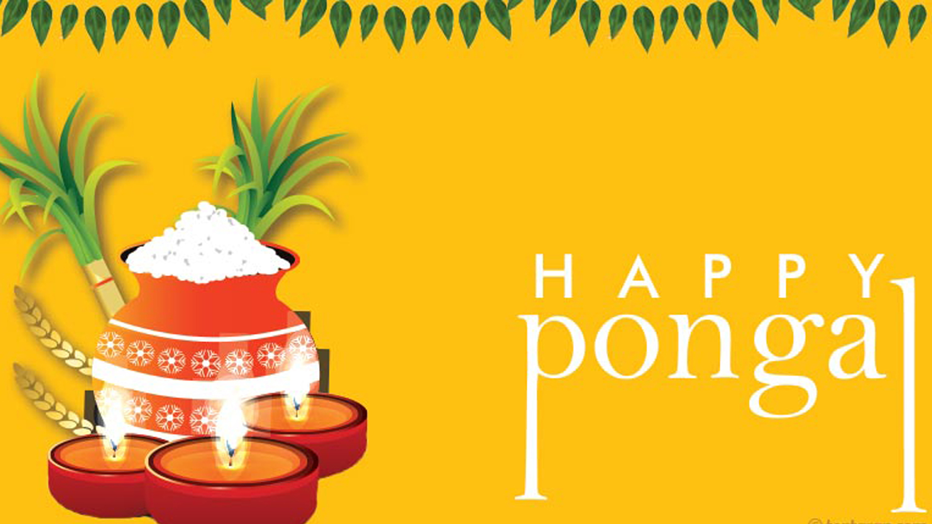 Candles Clay Pot Sugarcanes Happy Pongal Yellow Wallpaper HD Pongal