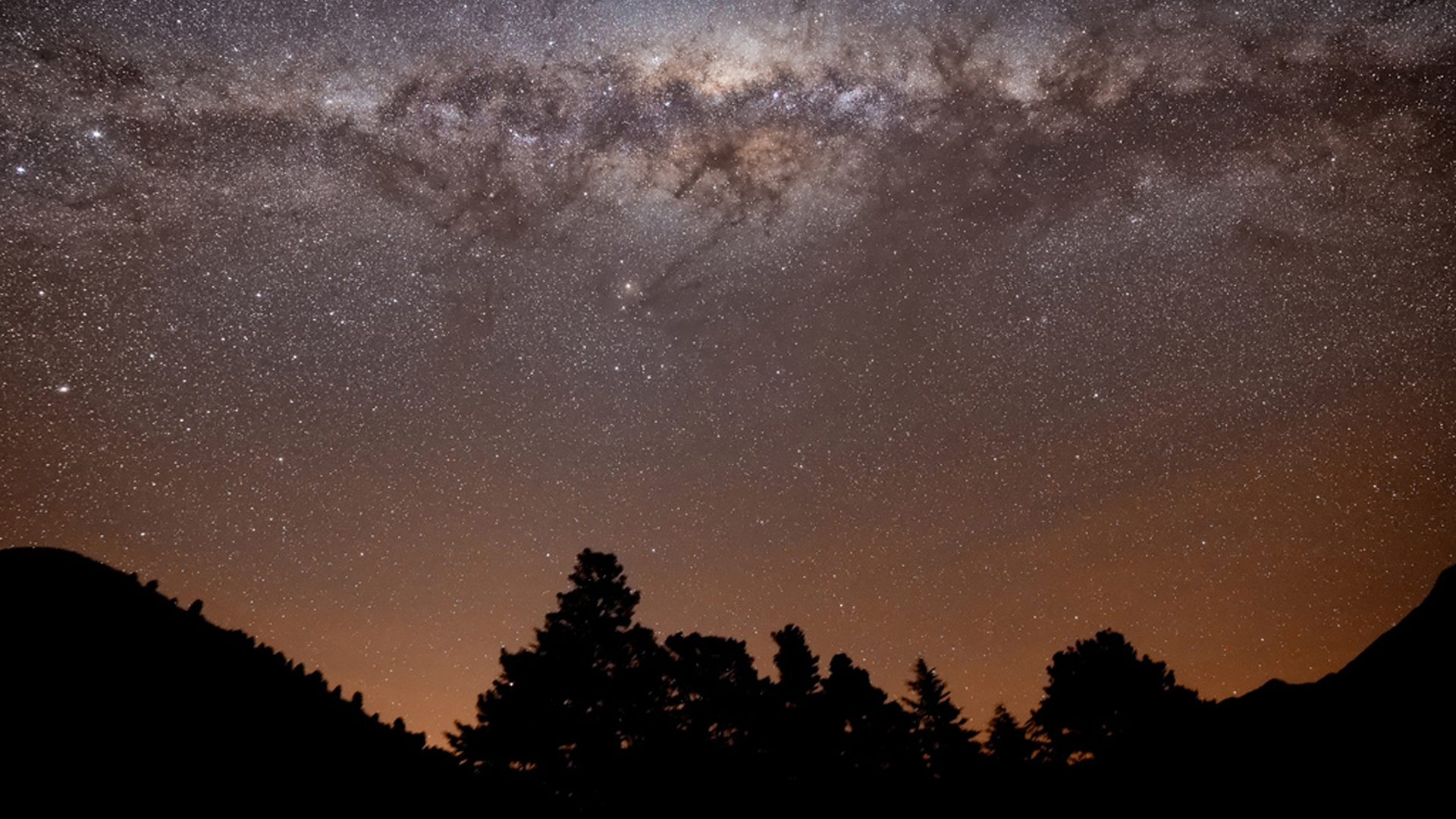 Trees Shadown Under Luminous Stars With Dirty Clouds HD Galaxy