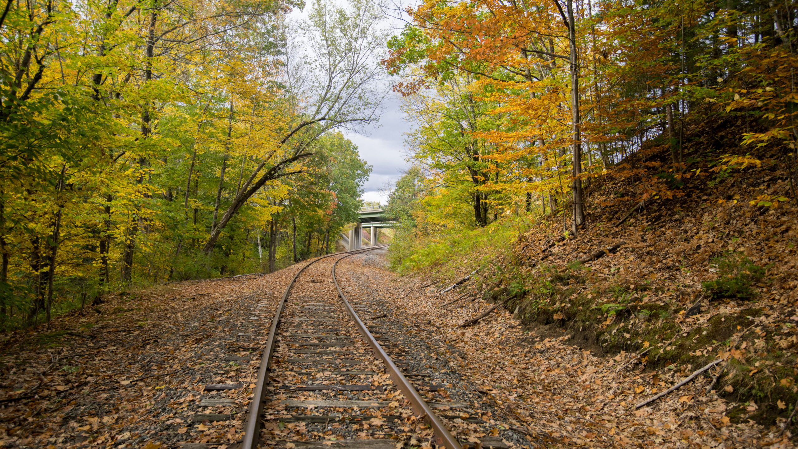Railroad Track Between Green Yellow Autumn Leaves Trees During Daytime K HD Autumn