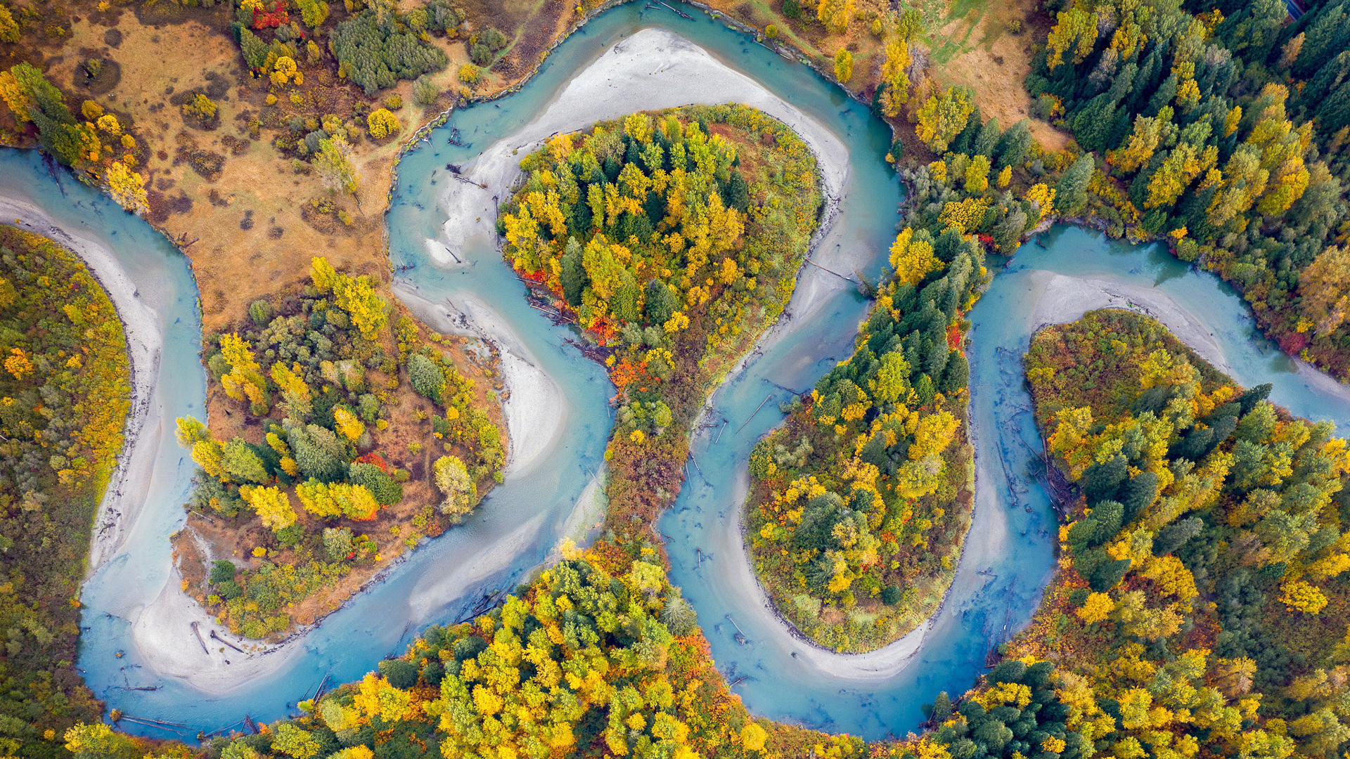Aerial View Of River In Forest During Fall HD Nature