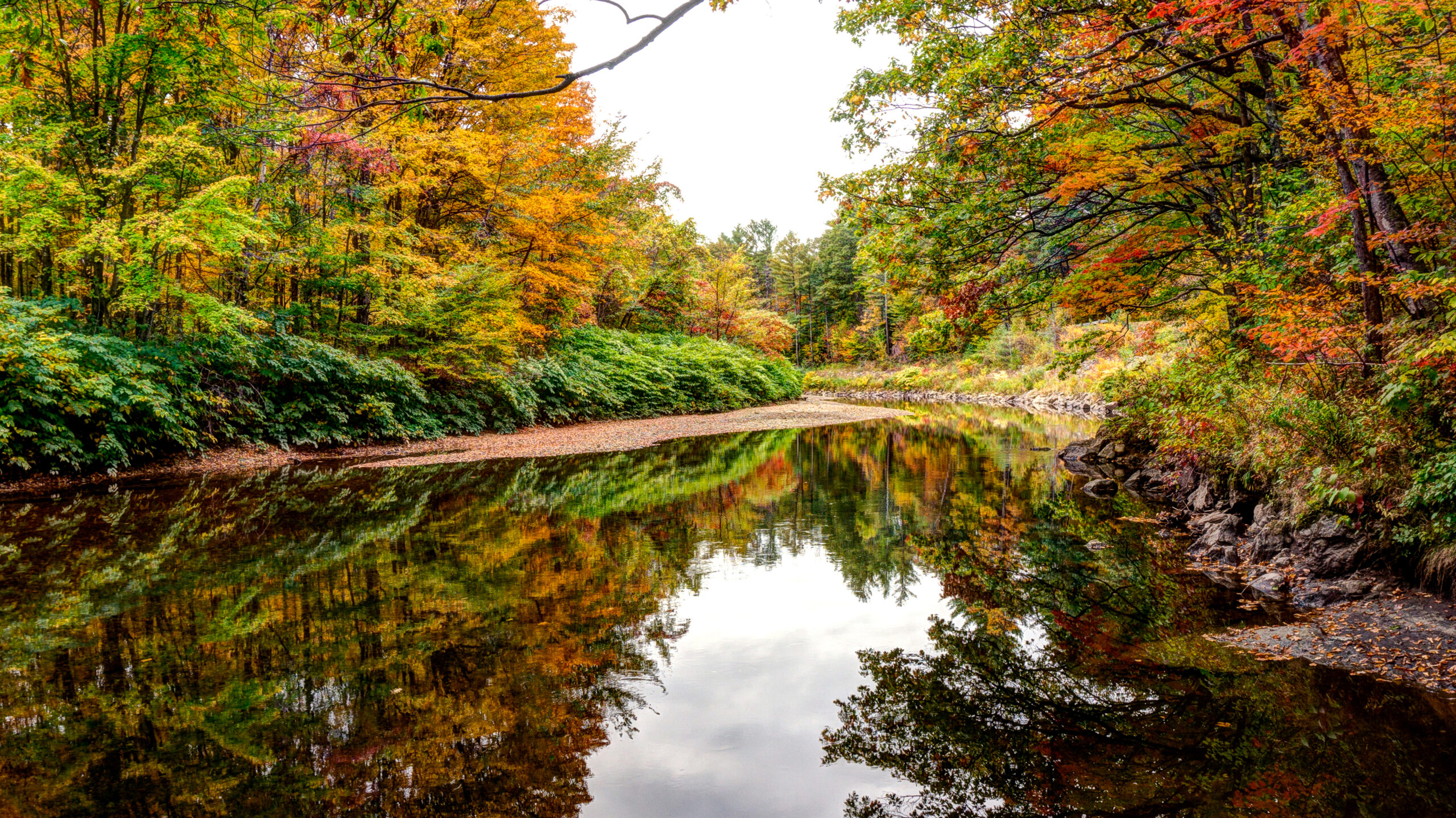 Colorful Beautiful Autumn Trees Forest Reflection On Lake K HD Autumn