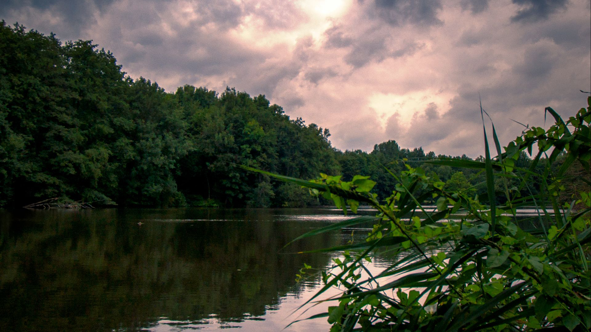 Lake Between Green Trees Forest Plants Under Black White Clouds Sky During Evening Time HD Nature