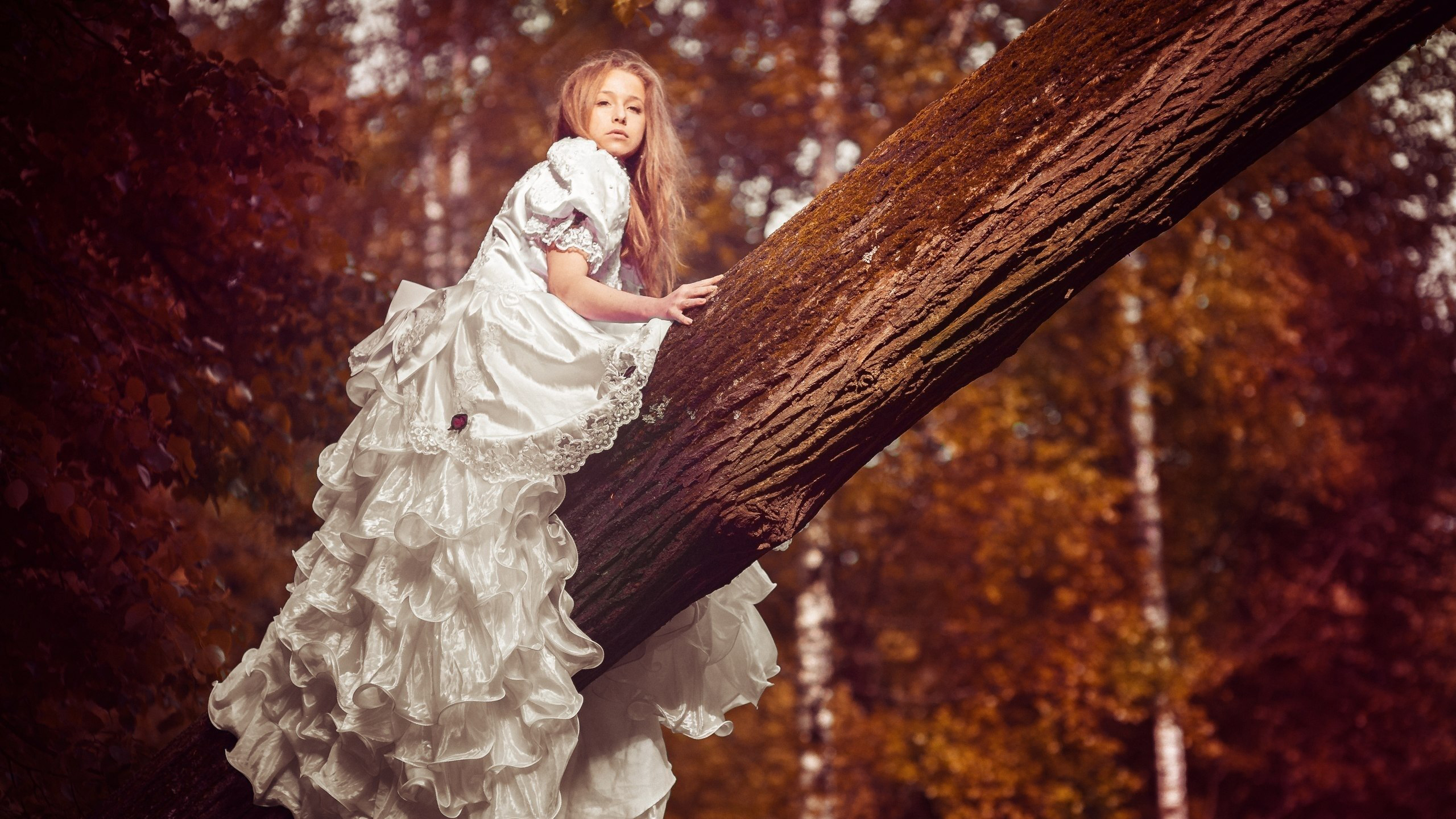 Little Girl Is Sitting On Tree Trunk Wearing White Dress In Blur Leaves Wallpaper HD