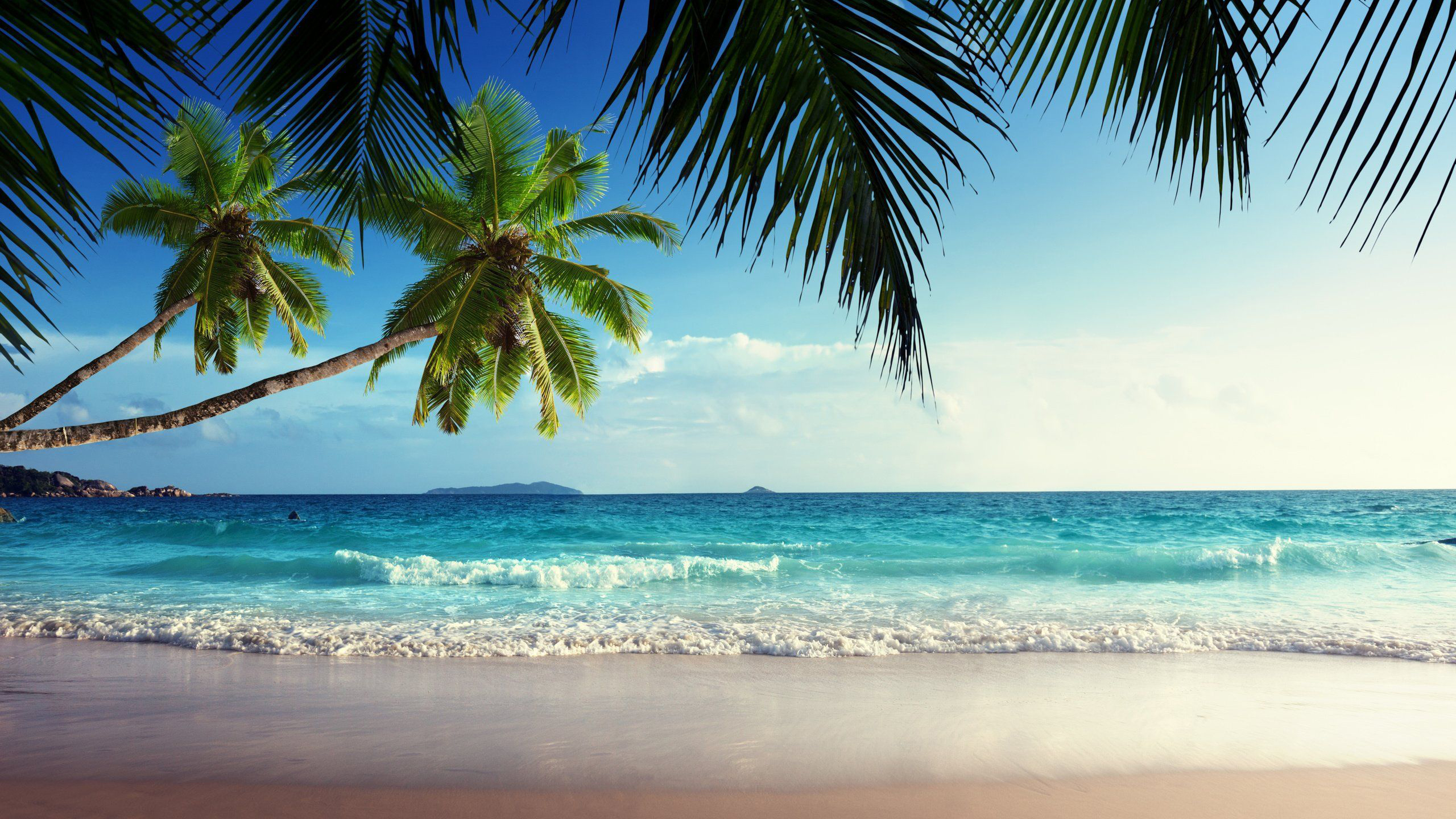 Beautiful Sea Waves And Slanting Coconut Trees HD