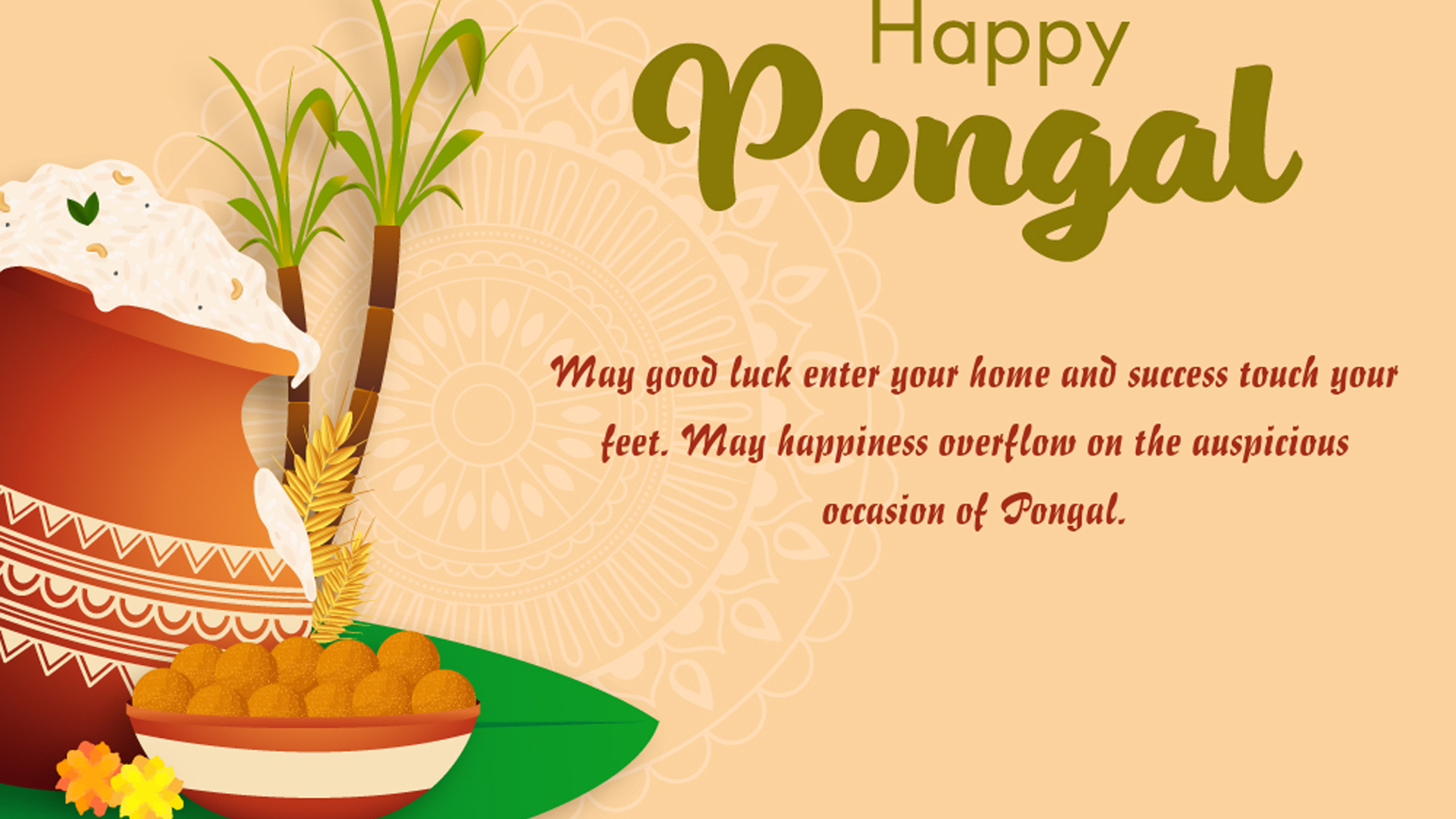 May Good Luck Enter Your Home And Success Touch Your Feet May Happiness Overflow On The Auspicious Occasion Of Pongal HD Pongal