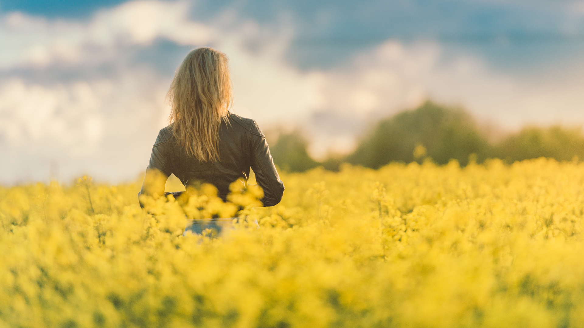 Backside Of Girl Is Standing Alone In Yellow Flowers Field HD Alone