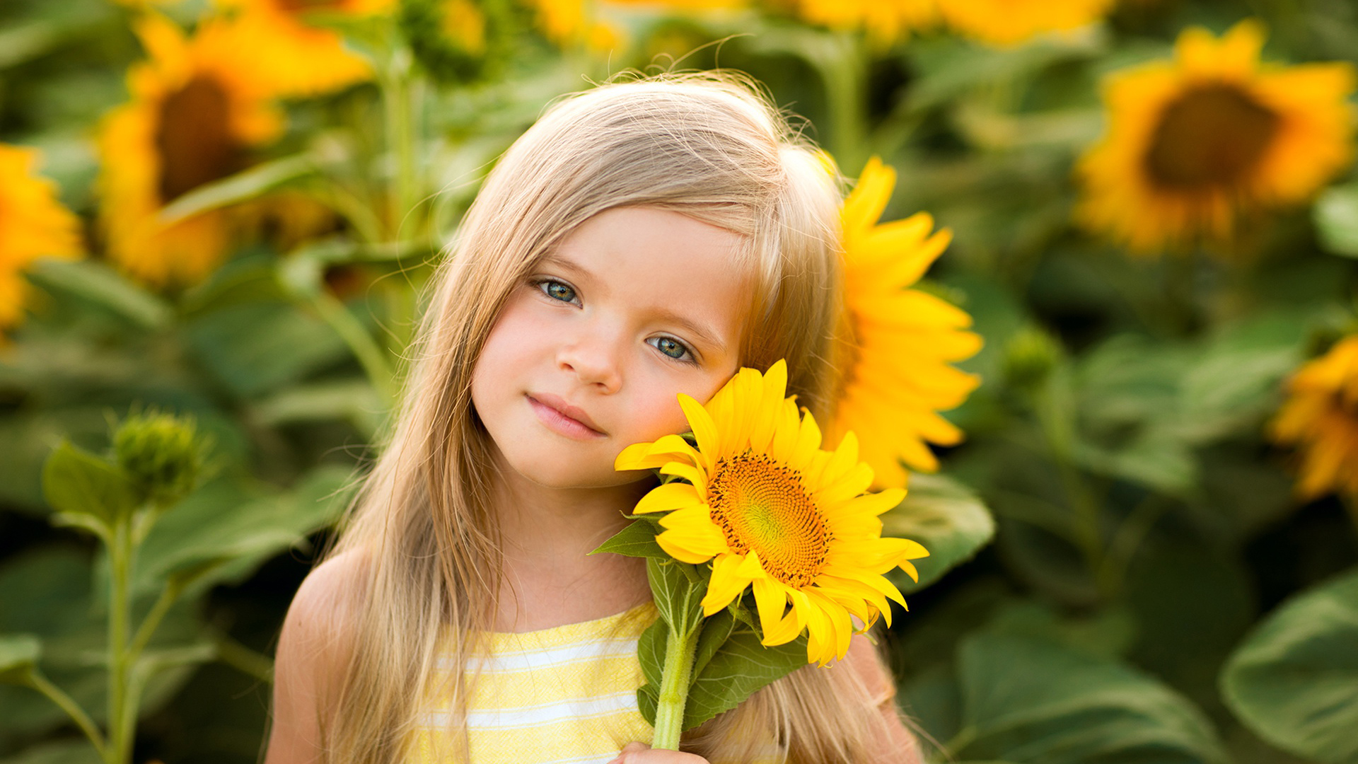 Blue Eyes Little Girl With Blonde Hair Is Wearing Yellow Stripes Dress With Sunflower In Hand In Sunflowers Wallpaper HD